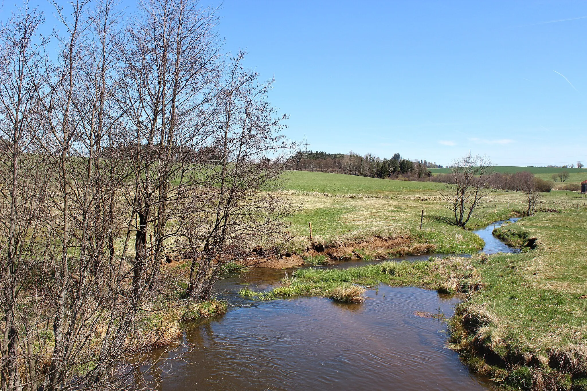 Photo showing: Teplá River by Křepkovice, part of Teplá, Czech Republic