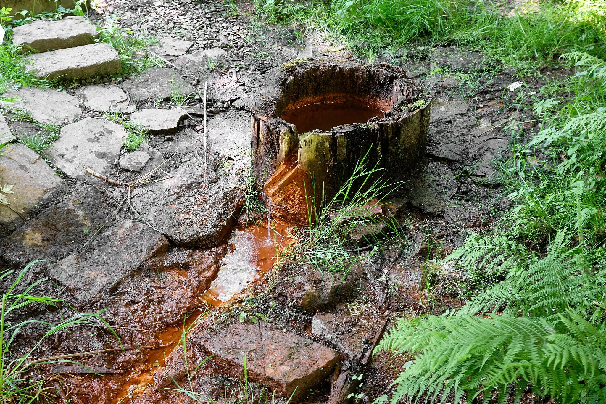 Photo showing: Křepkovická kyselka, Křepkovice, okres Cheb