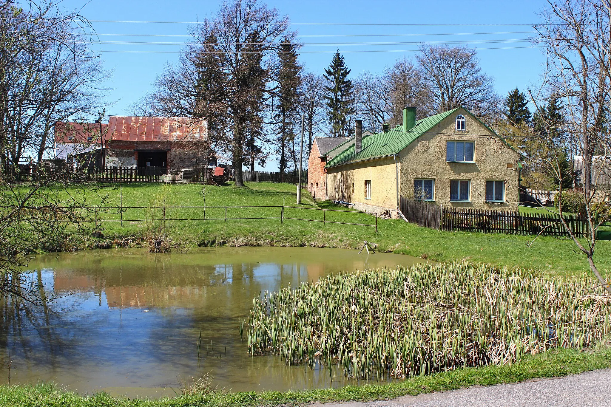Photo showing: Common pond in Křepkovice, part of Teplá, Czech Republic