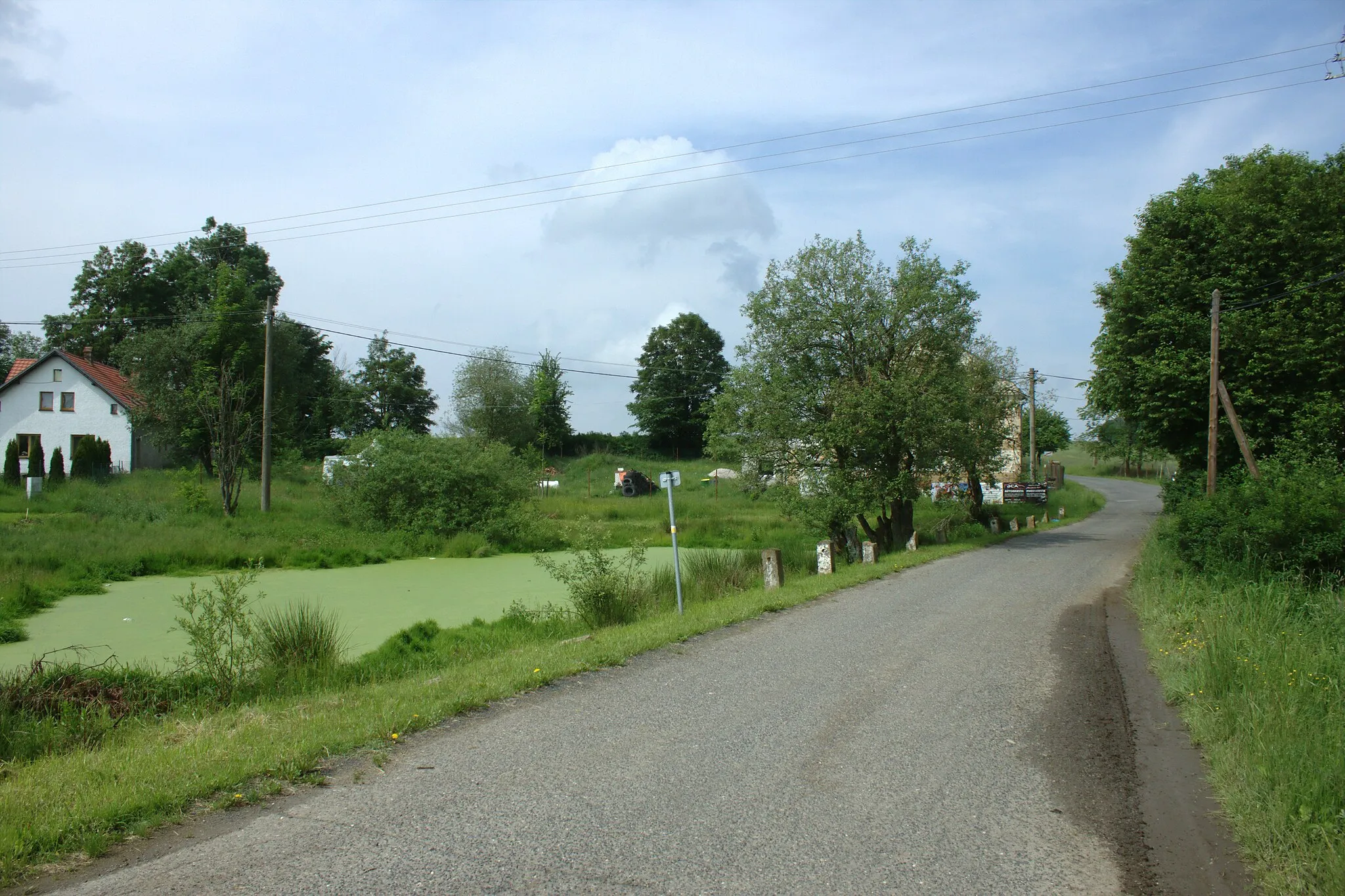 Photo showing: A road and a pond in Pěkovice near Teplá, CZ