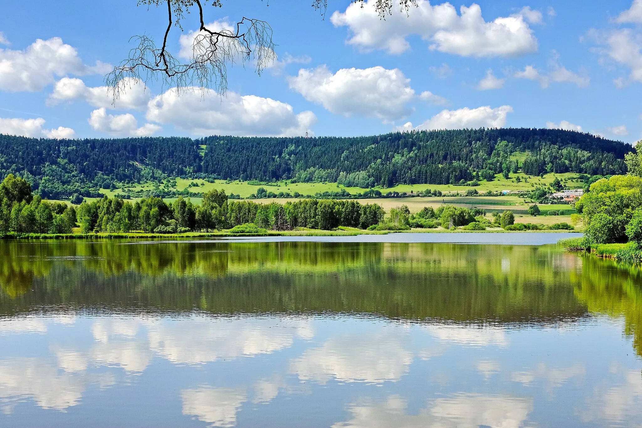 Photo showing: Třebouňský vrch, Tepelská vrchovina, okres Karlovy Vary