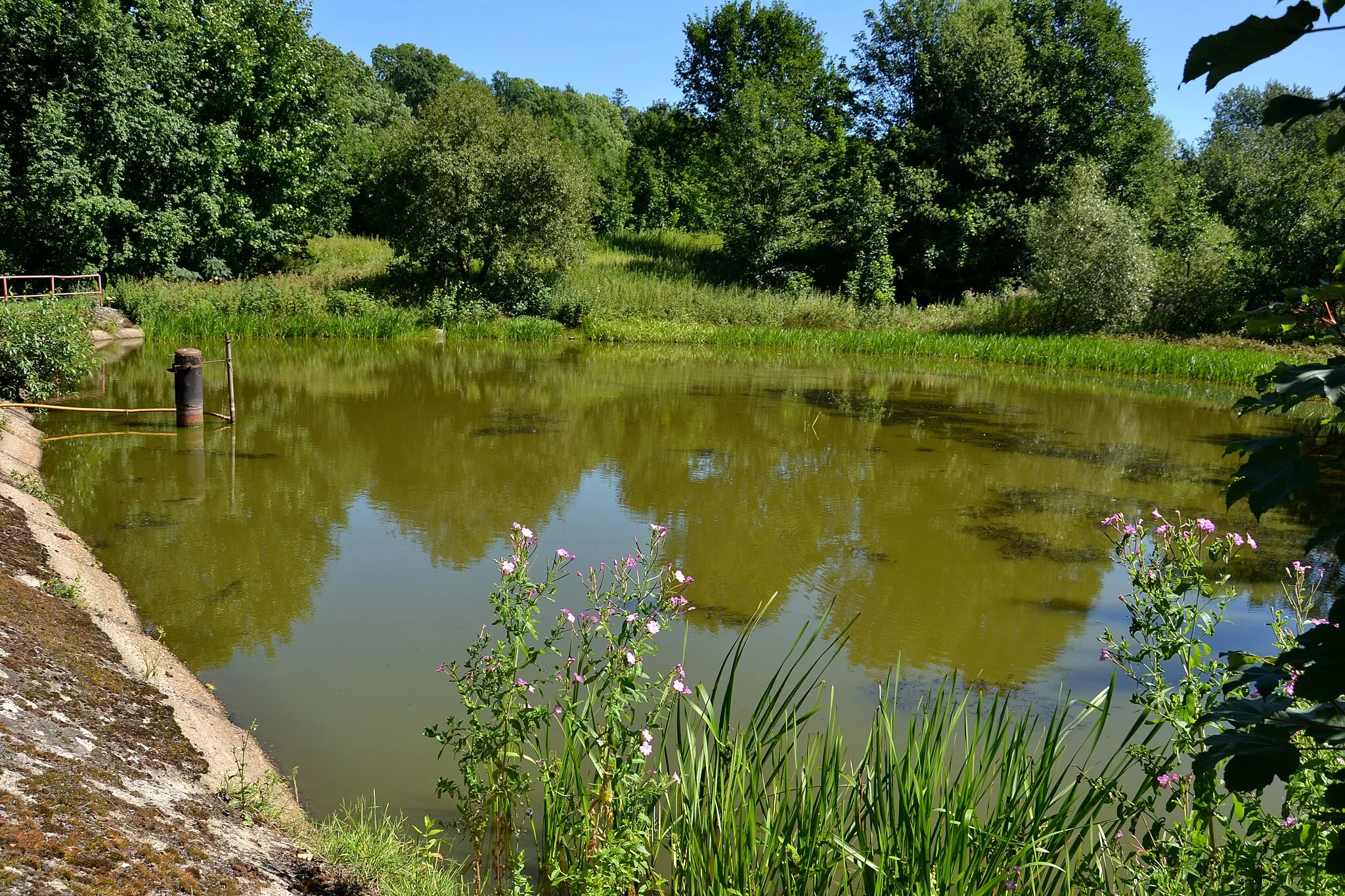 Photo showing: Stružná – malý rybník v severní části vesnice