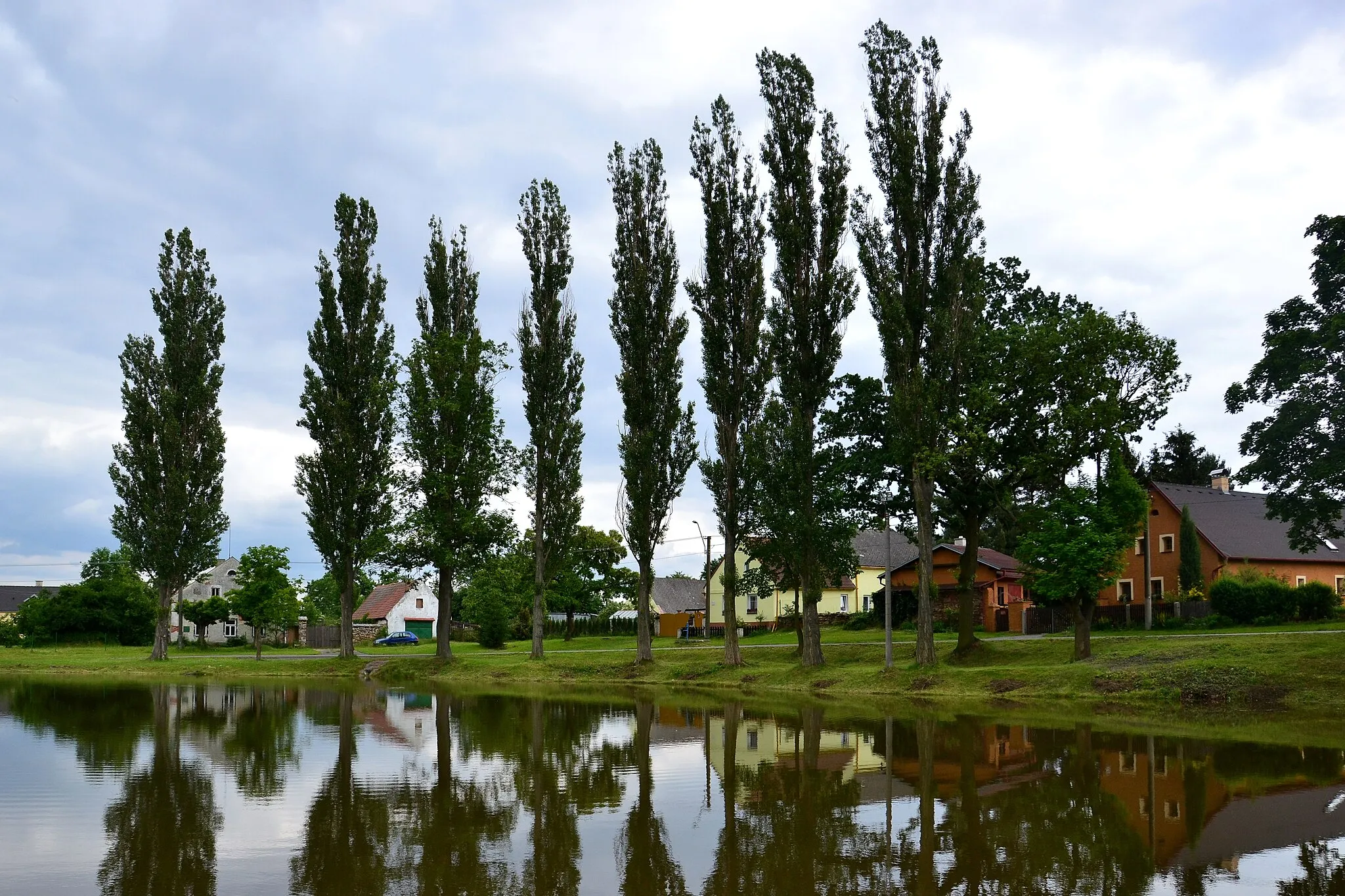 Photo showing: Rybník na východním okraji