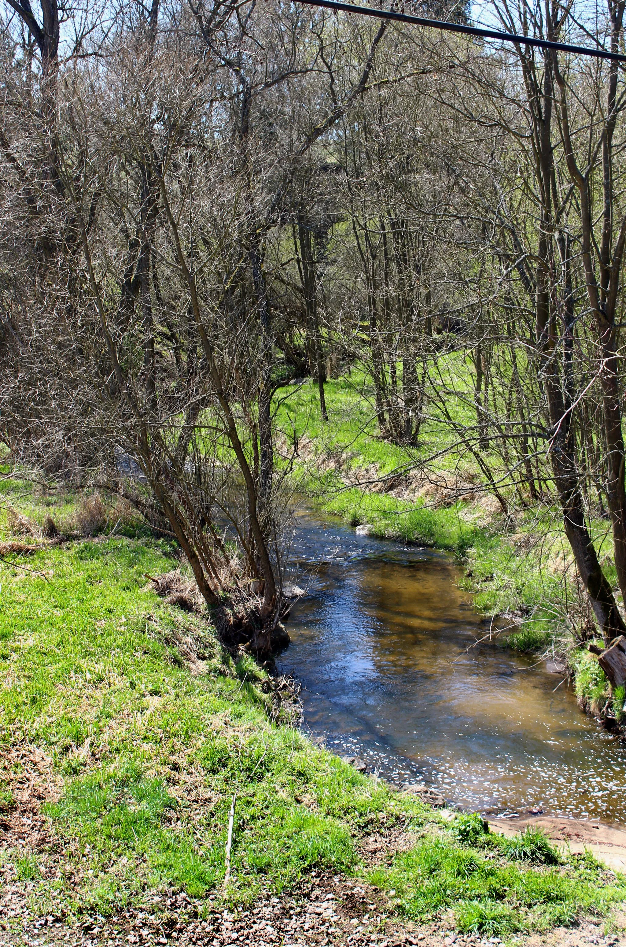 Photo showing: Lomnický Creek in Pila village, Czech Republic