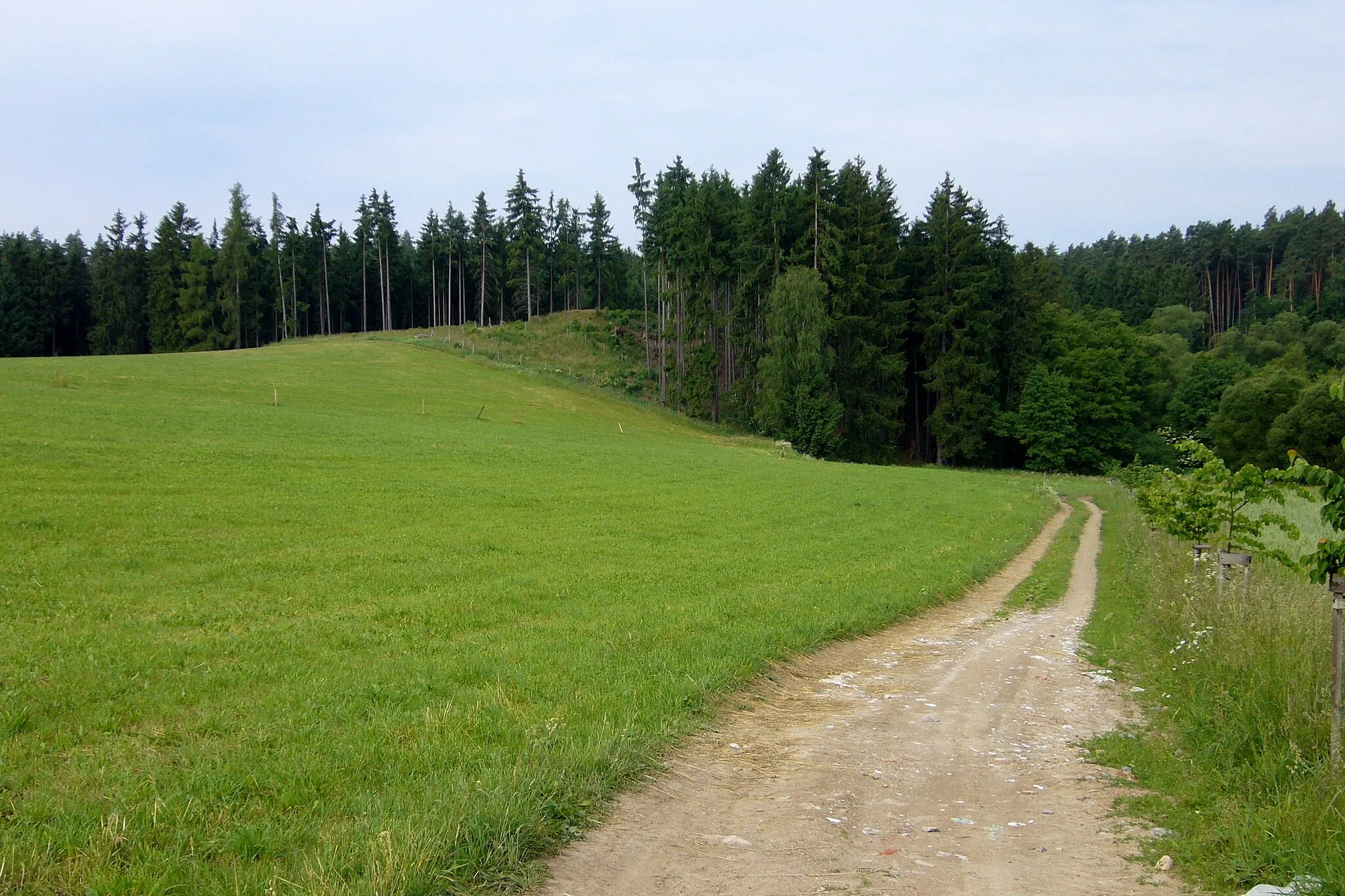 Photo showing: This is a photo of a cultural monument of the Czech Republic, number: