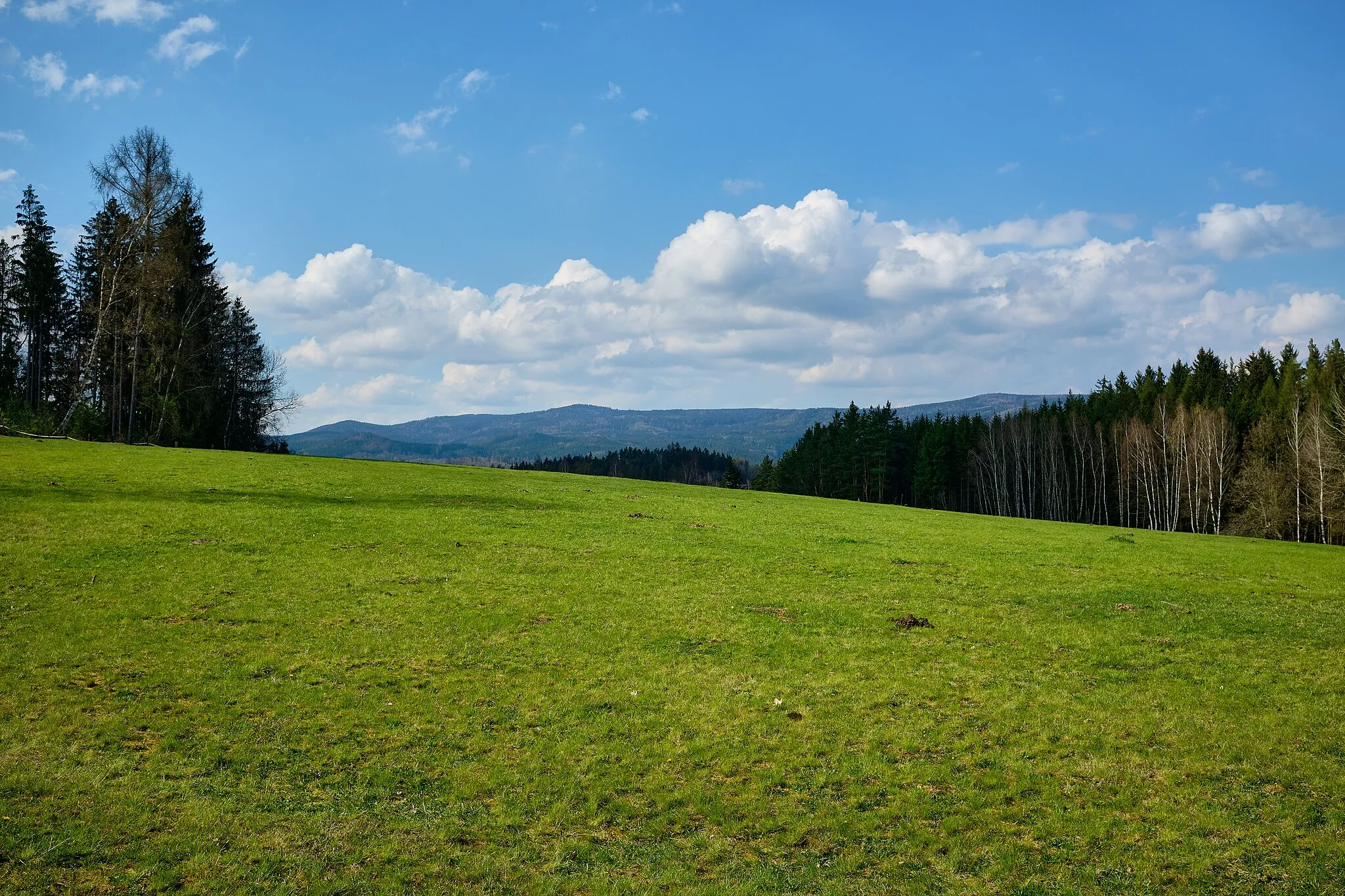 Photo showing: Nivy, pastviny při cestě do Mezirolí, v pozadí Krušné hory, okres Karlovy Vary