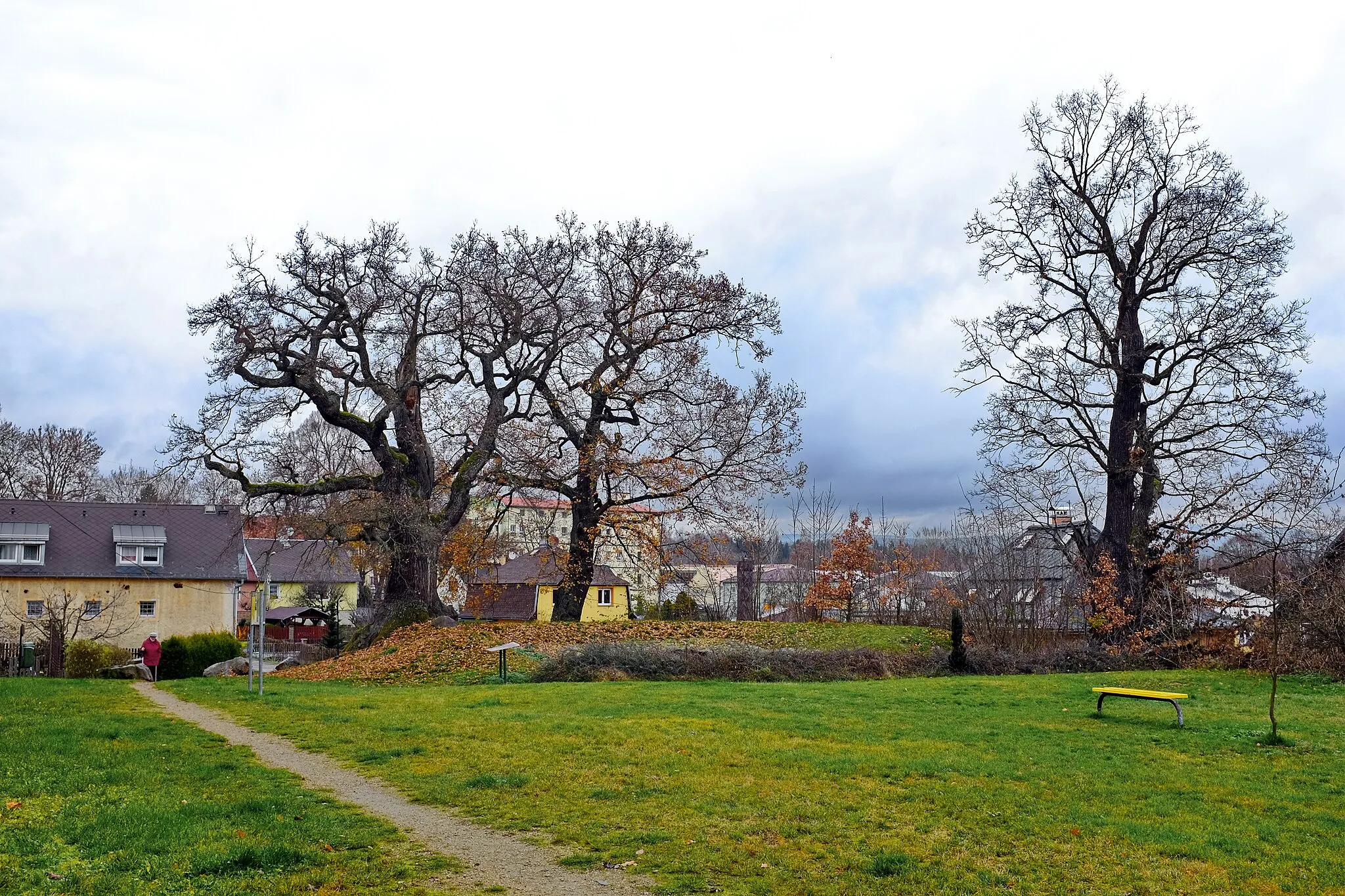 Photo showing: Památné stromy Duby u tvrze, Dalovice, okres Karlovy Vary