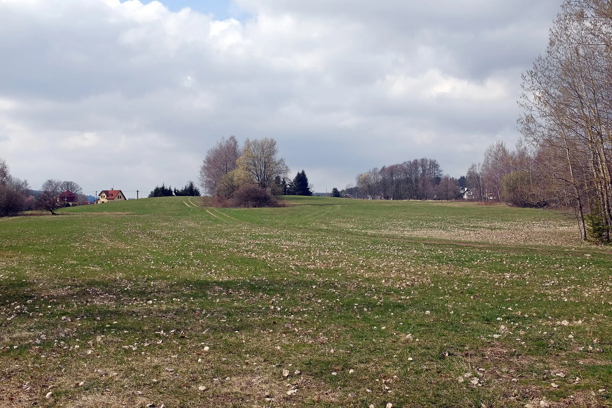 Photo showing: Krásná Lípa, louky u vesnice, okres Sokolov