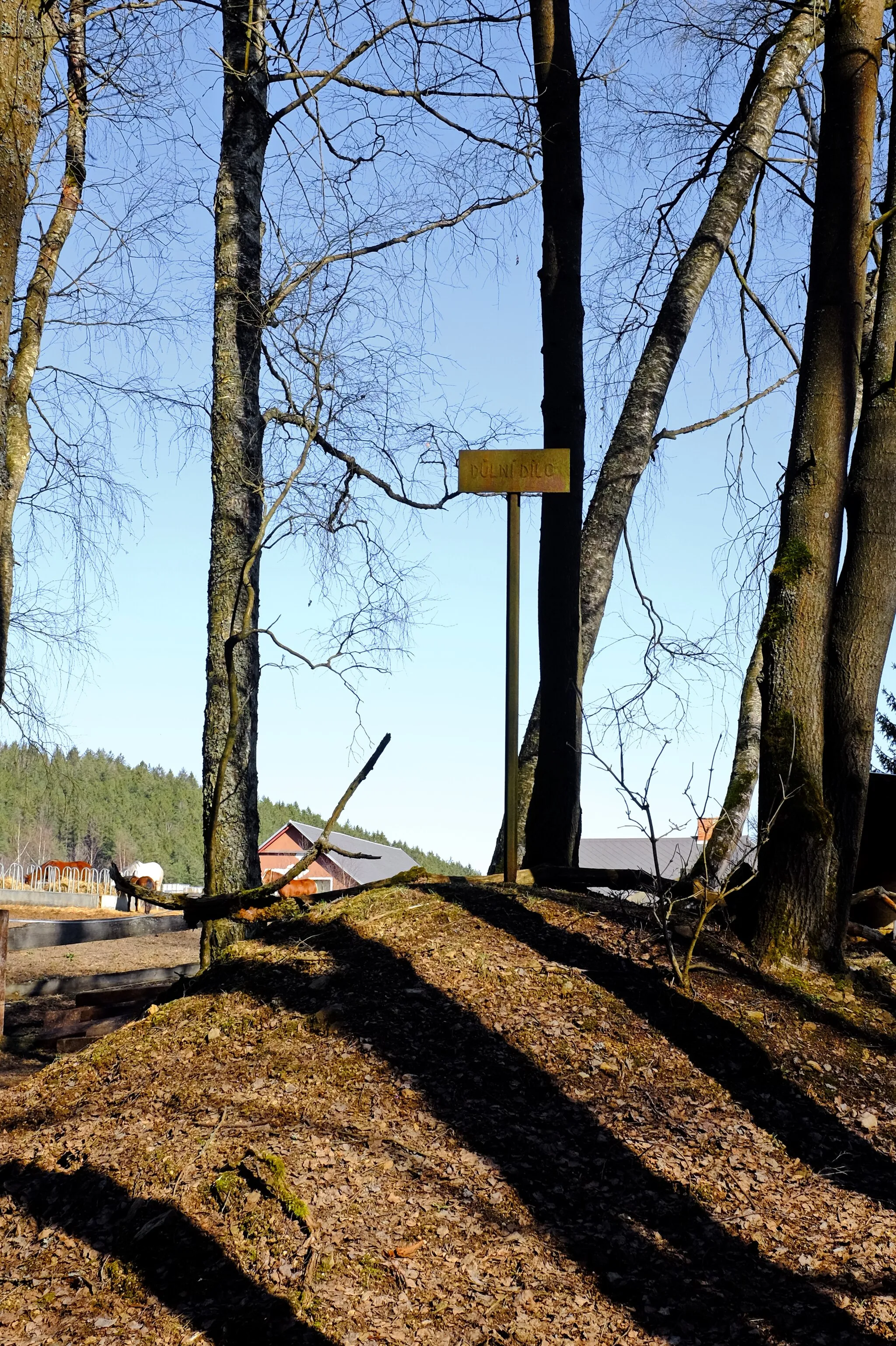 Photo showing: Nové Domy, část obce Oloví, označení starého důlního díla, okres Sokolov