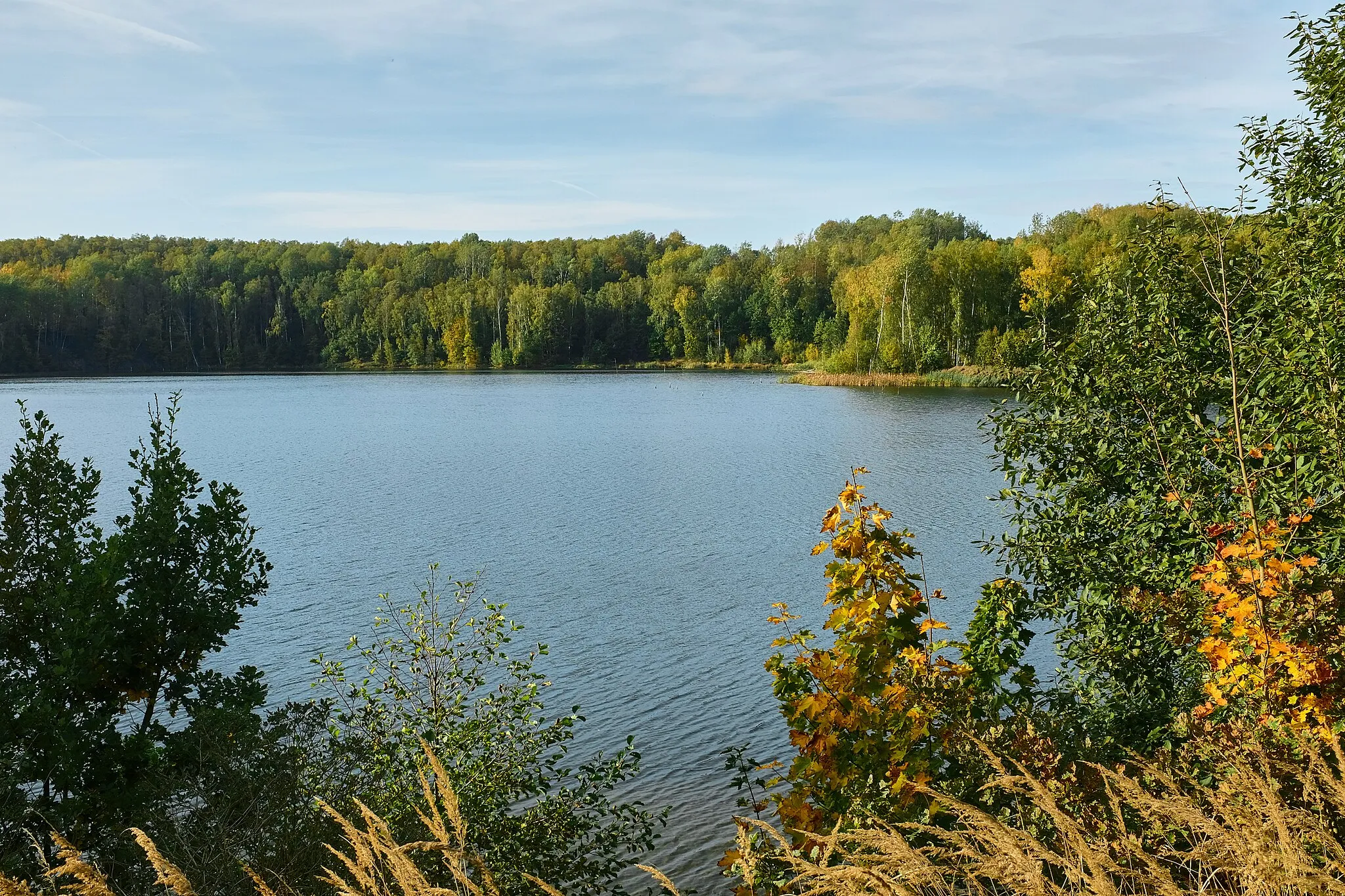 Photo showing: Dolní Pochlovice, bývalý lom Boží Požehnání, okres Sokolov