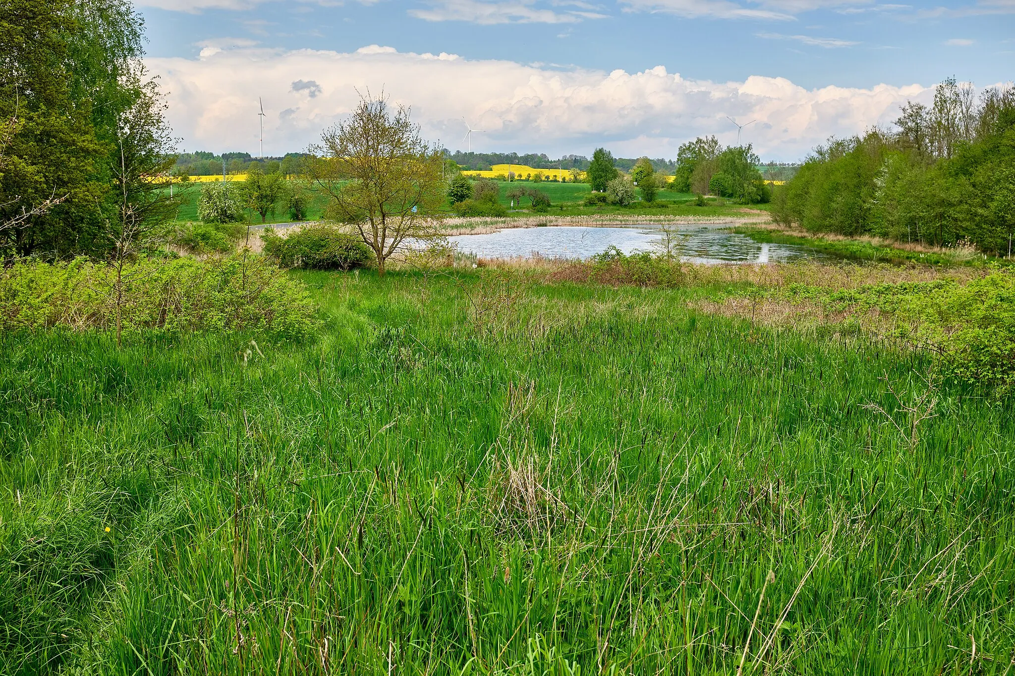 Photo showing: Lítov, část obce Habartov, rybníček pod západními svahy Lítovské výsypky, okres Sokolov