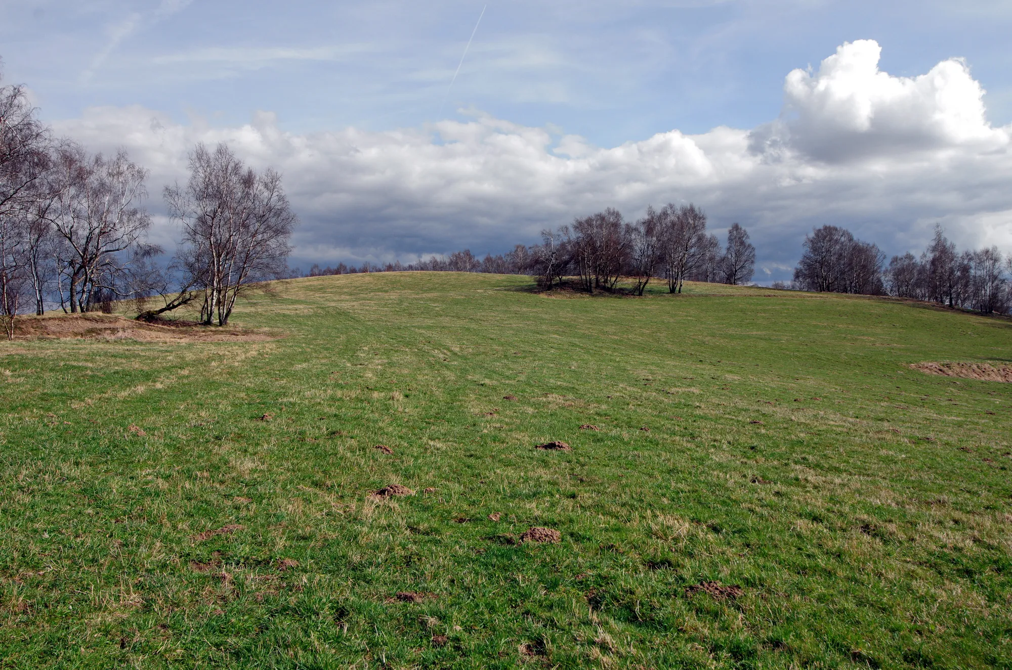 Photo showing: Boučský vrch - 667 m n. m., Krušné hory, okres Sokolov