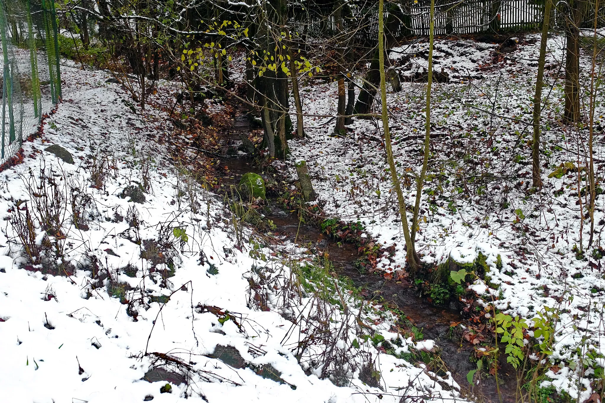 Photo showing: Kamenický potok, přítok potoka Tisová, v osadě Kamenice (Březová), Slavkovský les, okres Sokolov