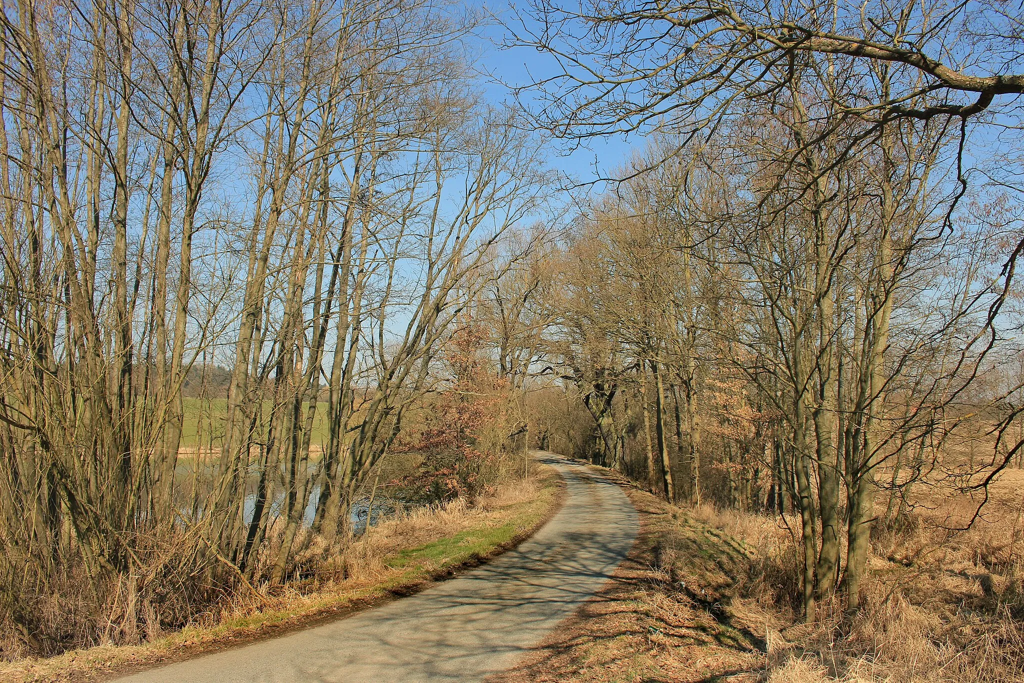 Photo showing: Road to Chotěšovičky, part of Pňovany, Czech Republic.