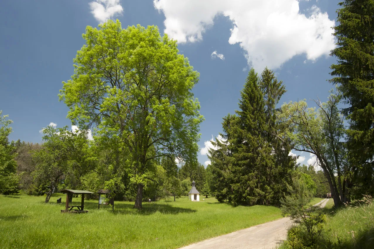 Photo showing: Hus-Weg in der verlassenen Ortschaft Umíř