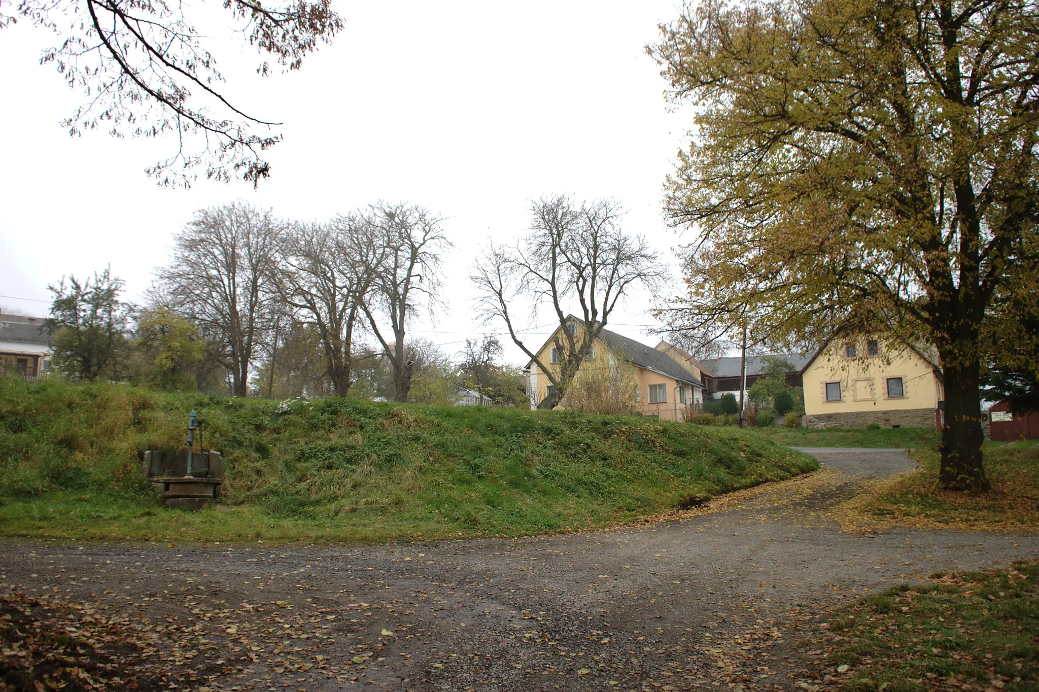 Photo showing: A common in the village of Služetín, Plzeň Region, CZ