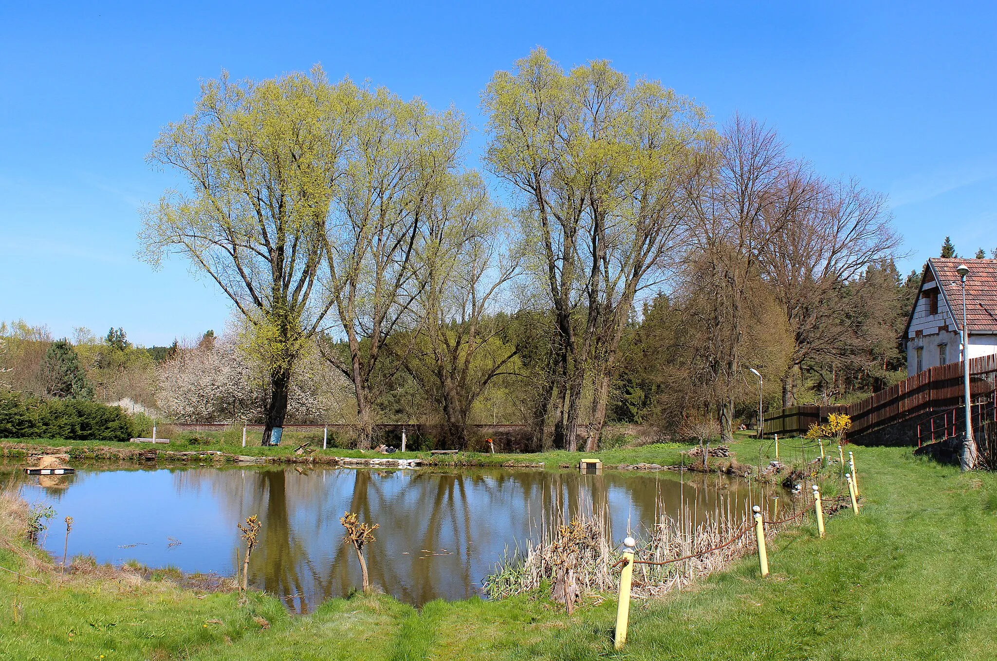 Photo showing: Pond in Lomnička village, part of Kšice, Czech Republic