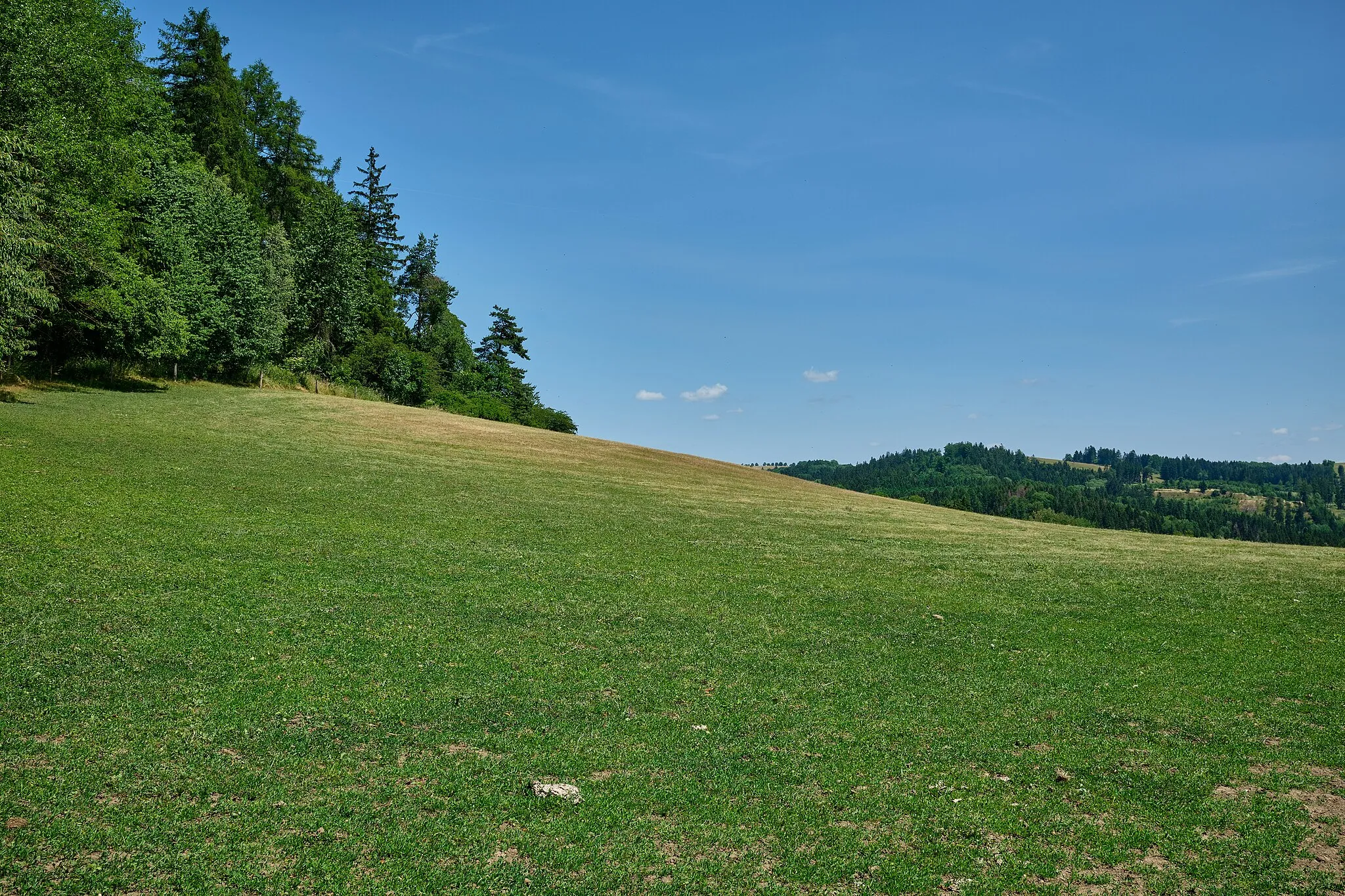 Photo showing: Pístov, část obce Chodová Planá, pastviny, okres Tachov