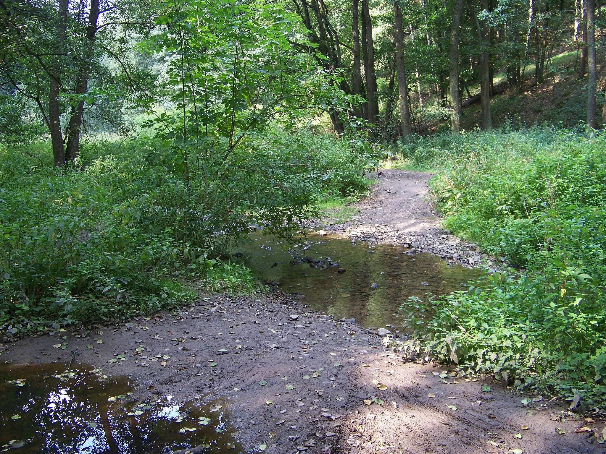 Photo showing: Krakovec and Šípy-Milíčov, Rakovník District, Central Bohemian Region, the Czech Republic. Šípy Creek, a ford.