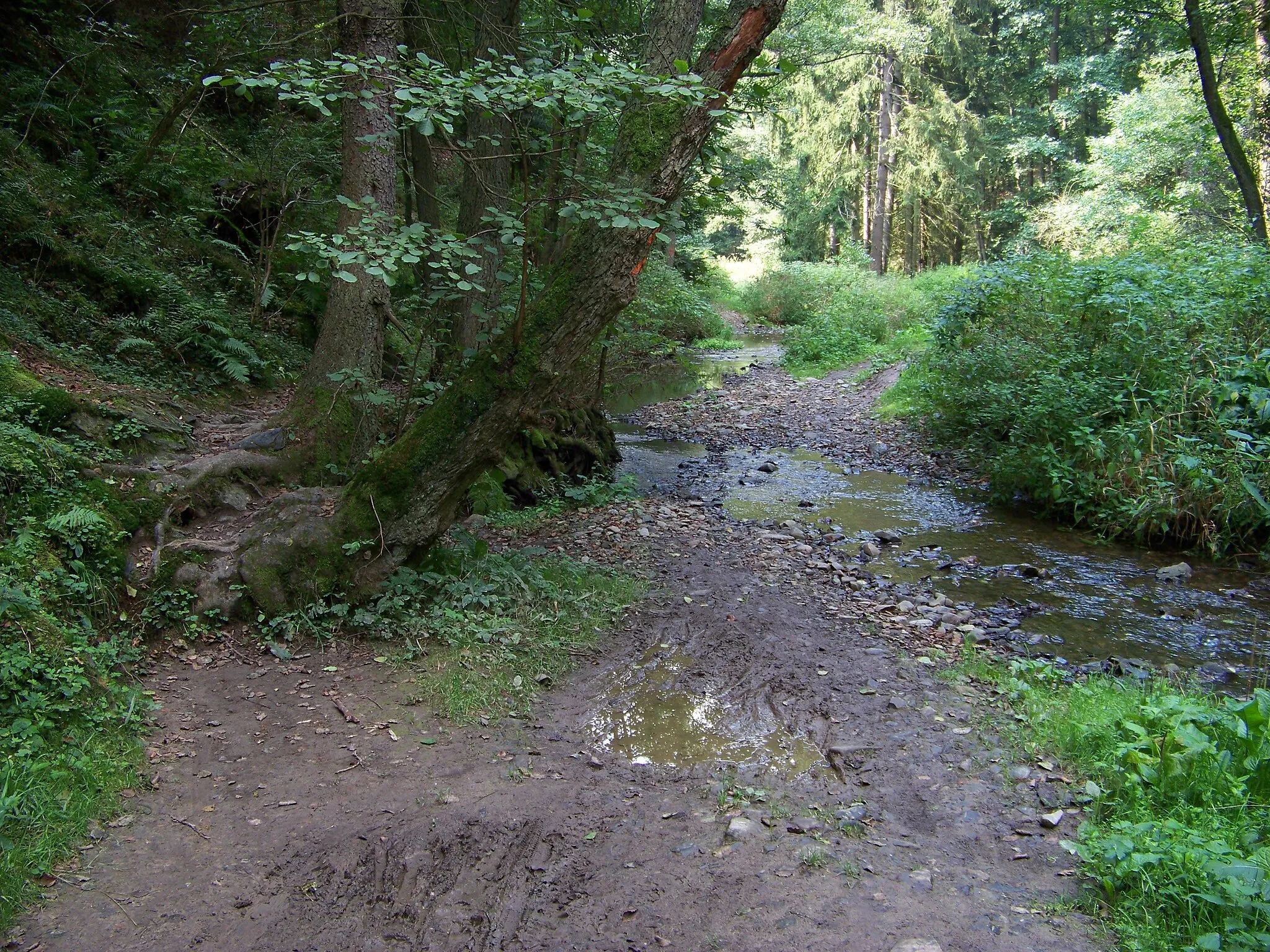 Photo showing: Krakovec and Šípy-Milíčov, Rakovník District, Central Bohemian Region, the Czech Republic. Šípy Creek, a ford.