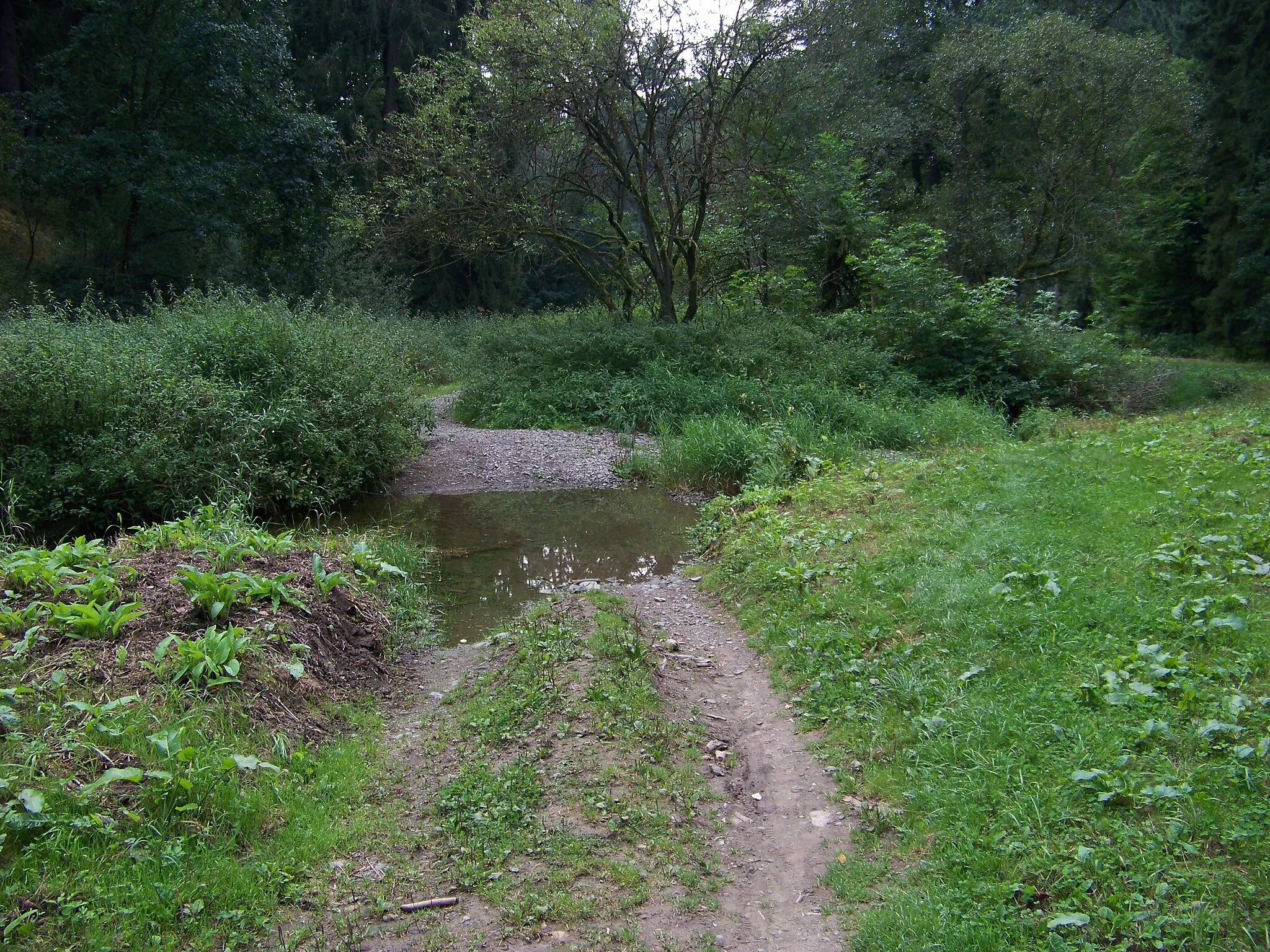 Photo showing: Šípy-Milíčov and Krakovec, Rakovník District, Central Bohemian Region, the Czech Republic. Šípy Creek, a ford.