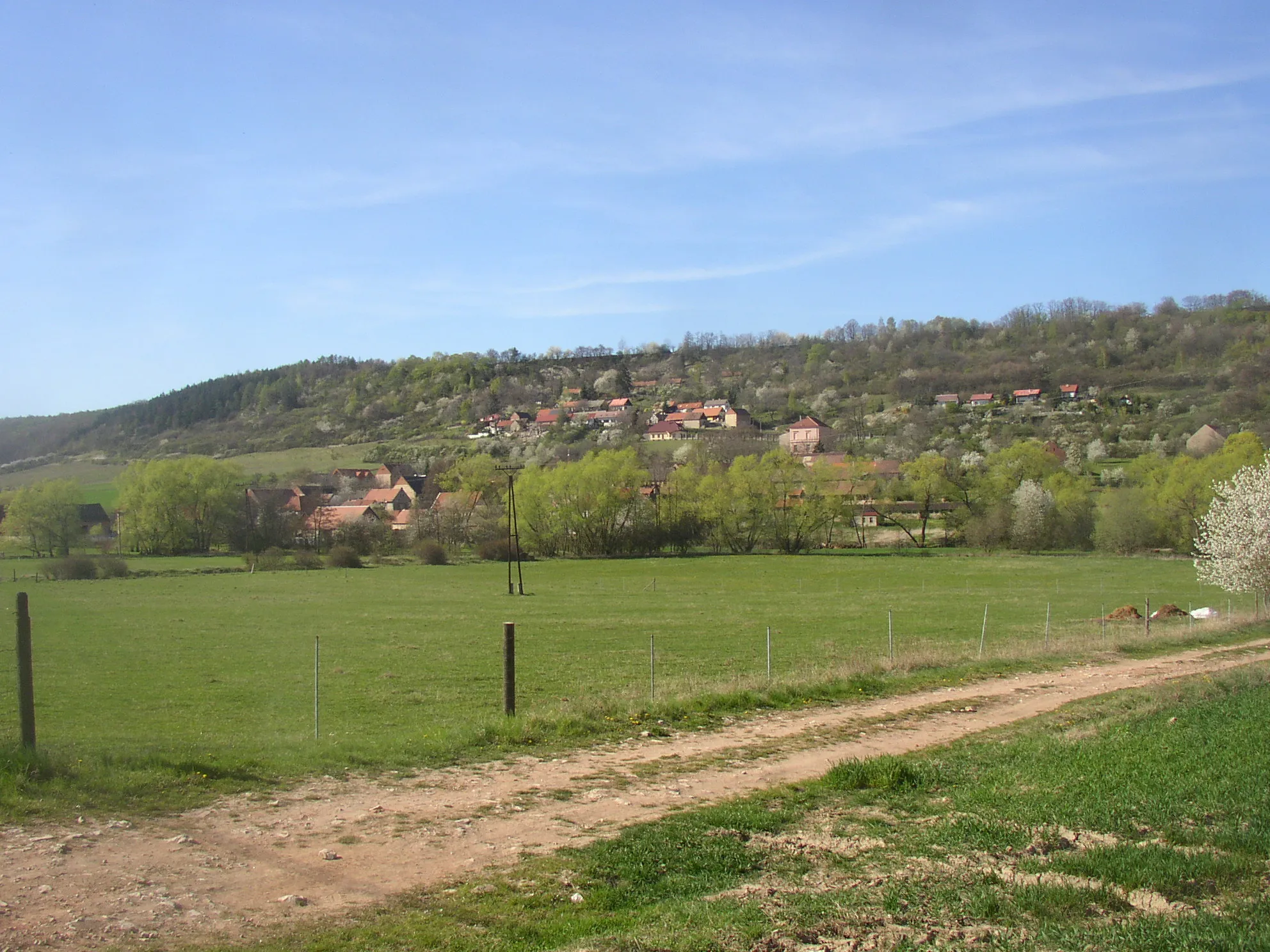 Photo showing: Village of Milý, Rakovník District, Czech Republic. General view from SE, from Srbeč - Milý road.