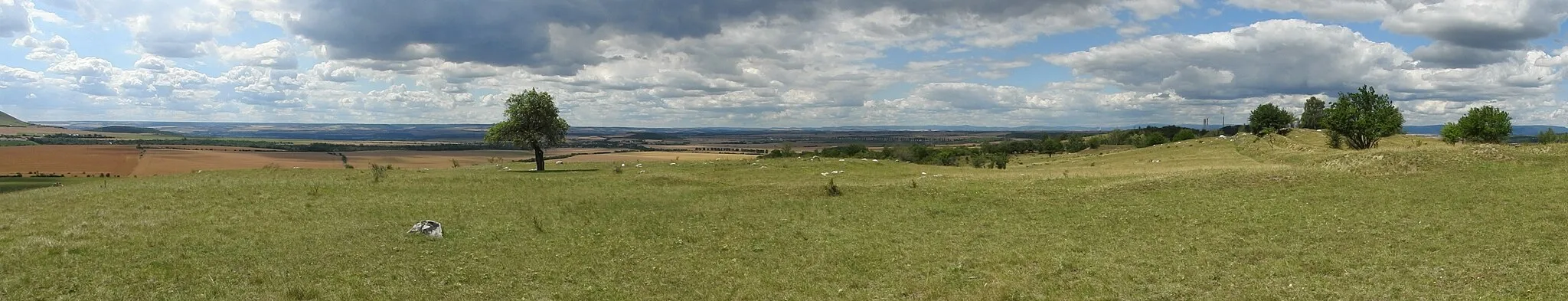 Photo showing: Panorama planiny na vrchu Písečného vrchu (okres Most), léto 2020.