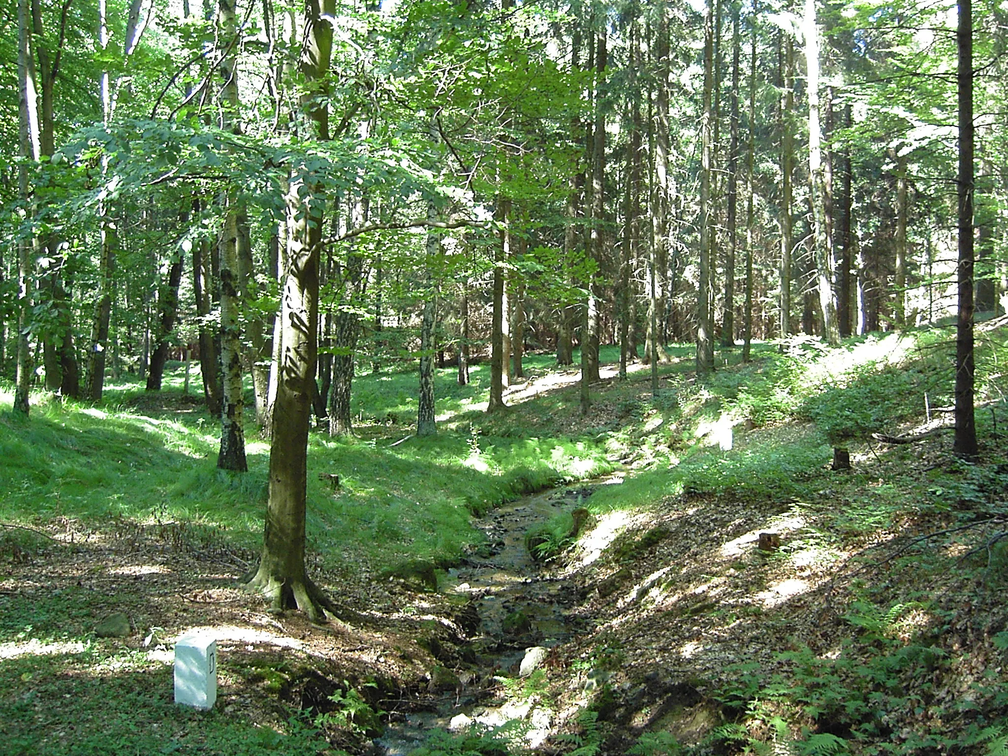 Photo showing: Hraniční potok (Wolsbach), přítok Sebnice, na státní hranici