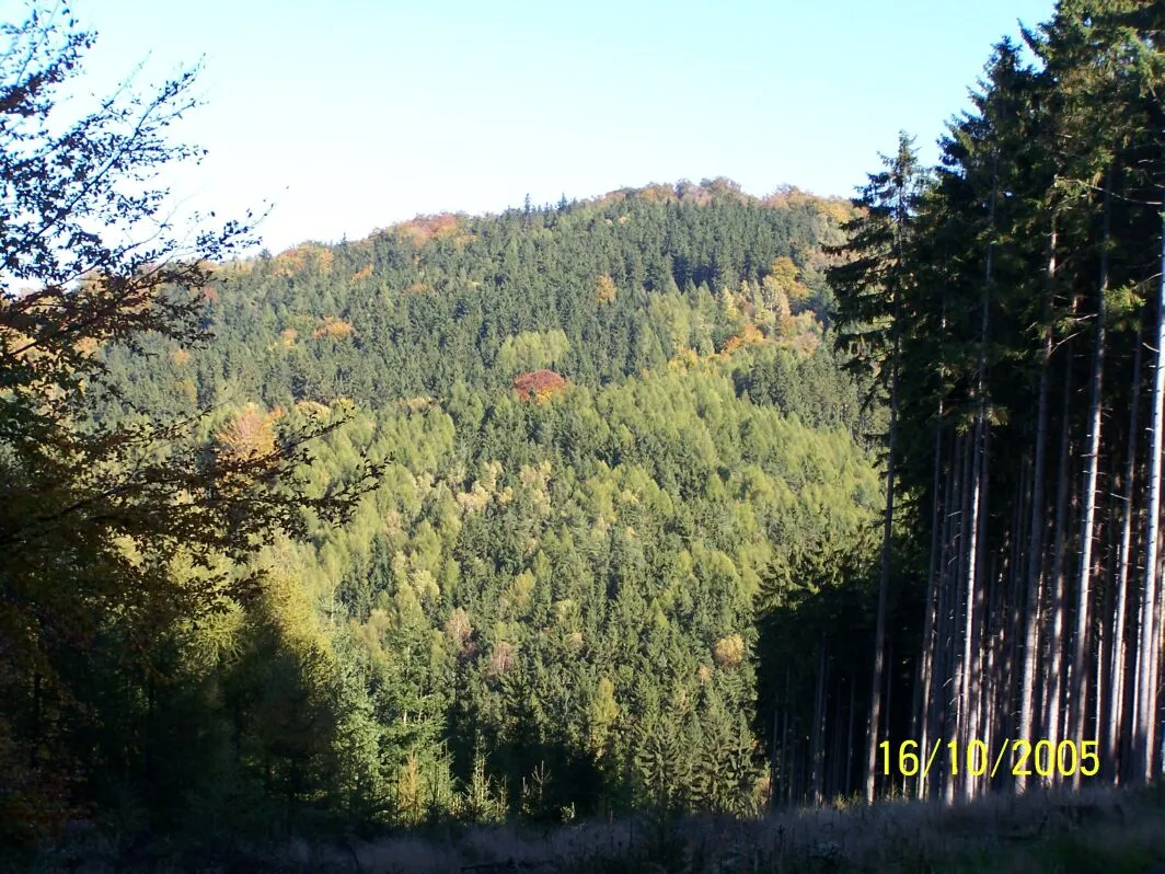 Photo showing: Bukový vrch u Karlových Varů