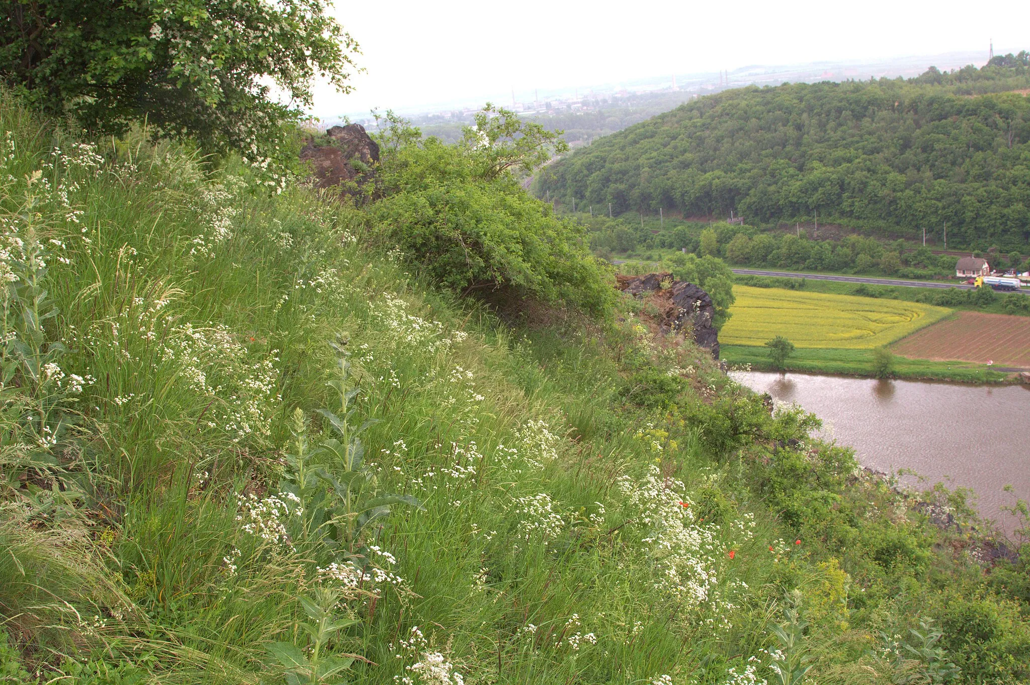 Photo showing: Kalvárie (přírodní rezervace) - jaro