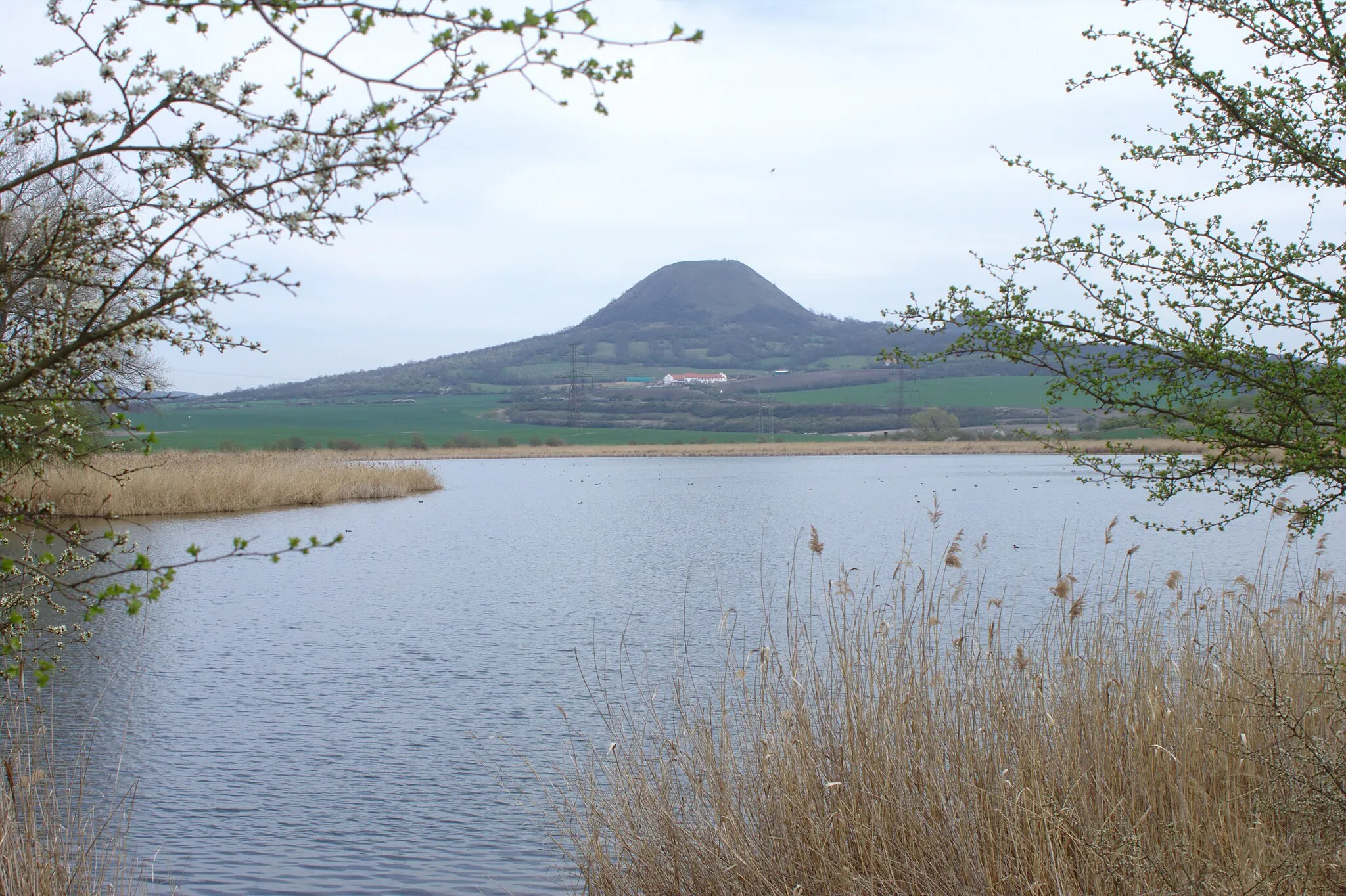 Photo showing: Dobroměřický rybník pond and Oblík hill, Ústí Region, CZ