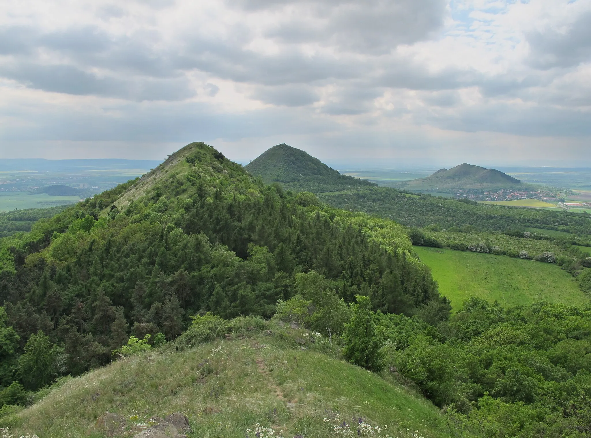 Photo showing: Srdov (482 m), Oblík (509 m) a Raná (457 m) v Českém středohoří z Brníku (471 m)