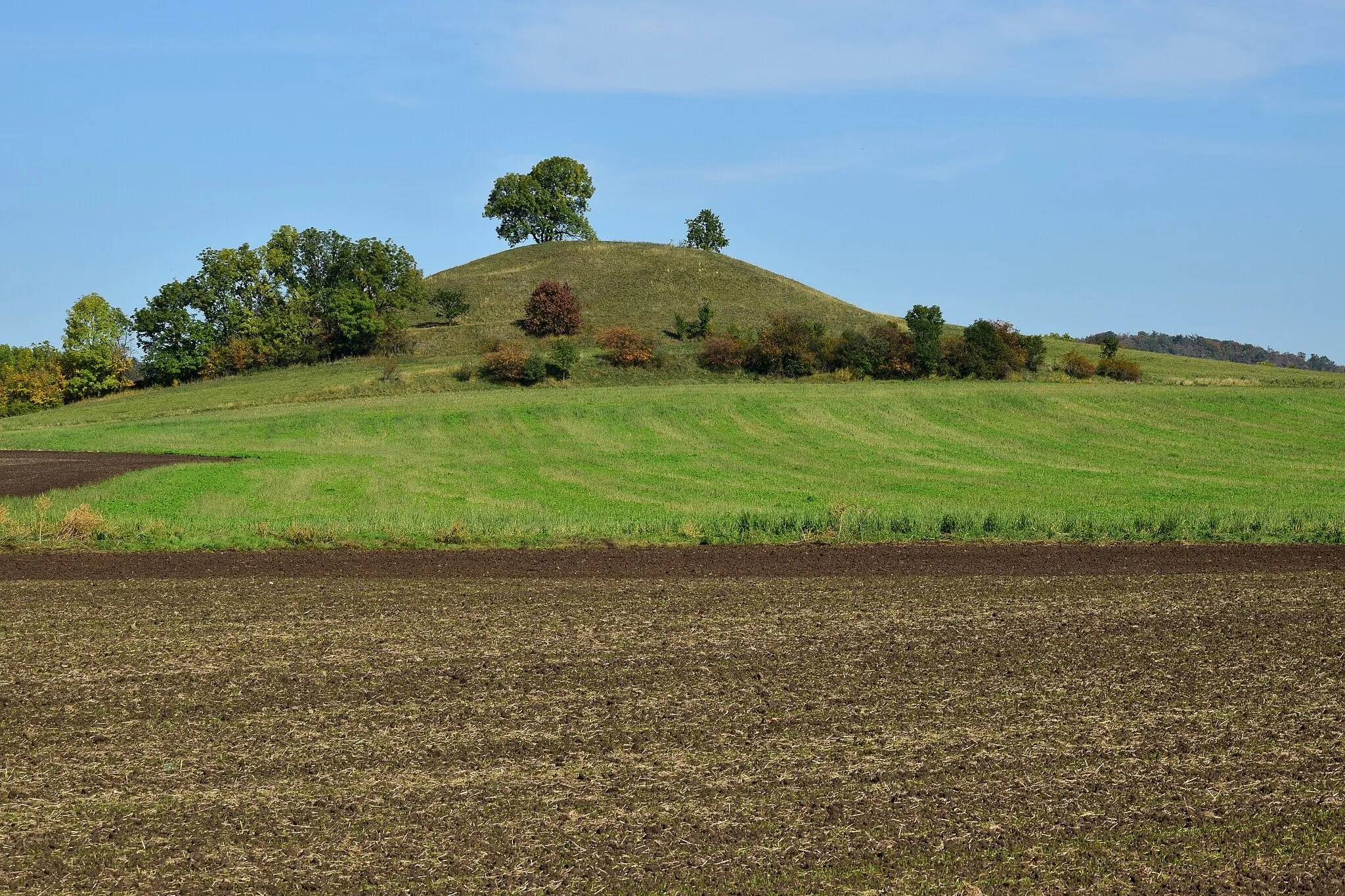 Photo showing: Kozly – Tobiášův vrch ze silnice Kozly–Bělušice