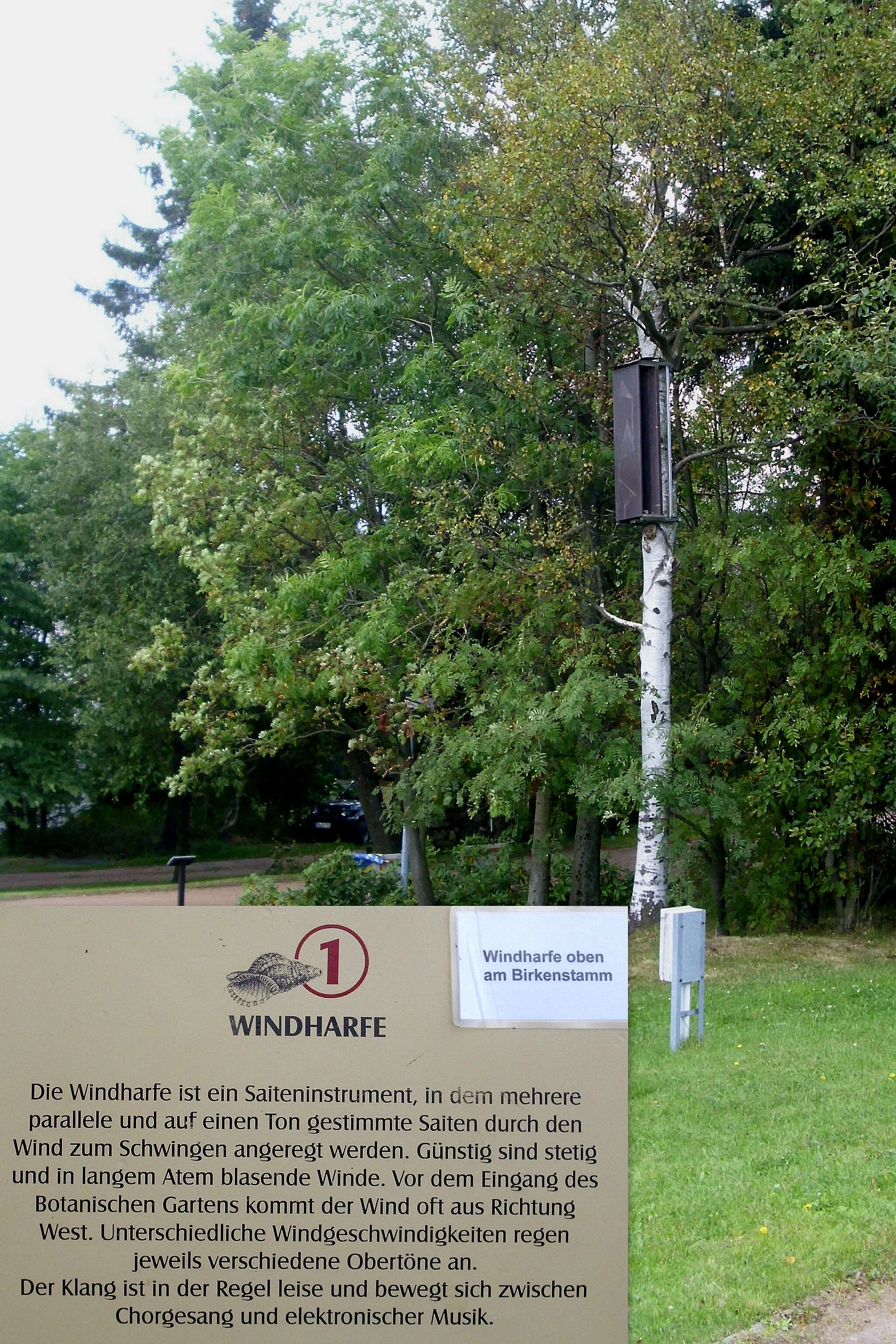 Photo showing: Eine Windharfe am Eingang des Botanischen Gartens in Schellerhau