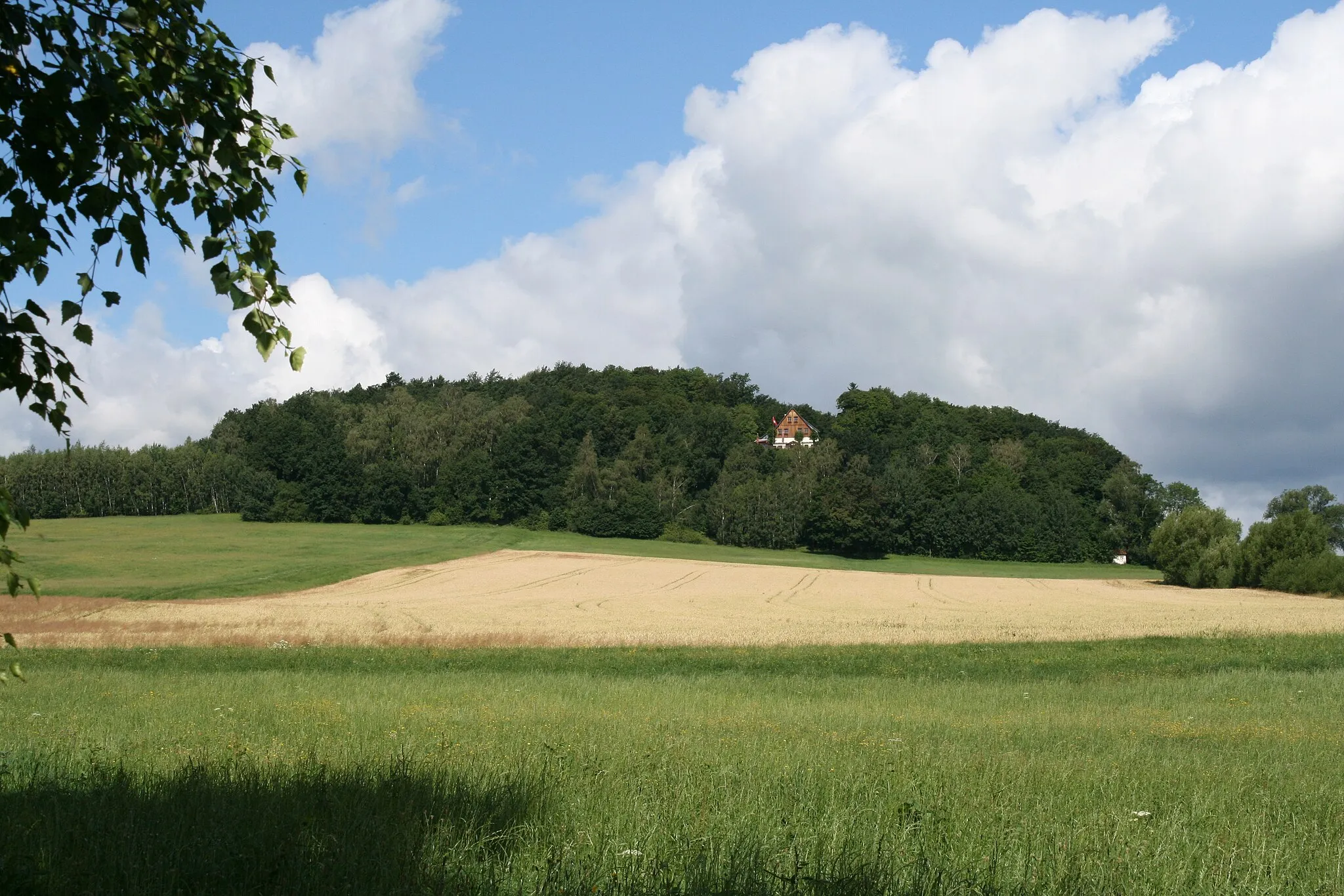 Photo showing: Koitsche mountain, Bertsdorf-Hörnitz, Saxony, Germany