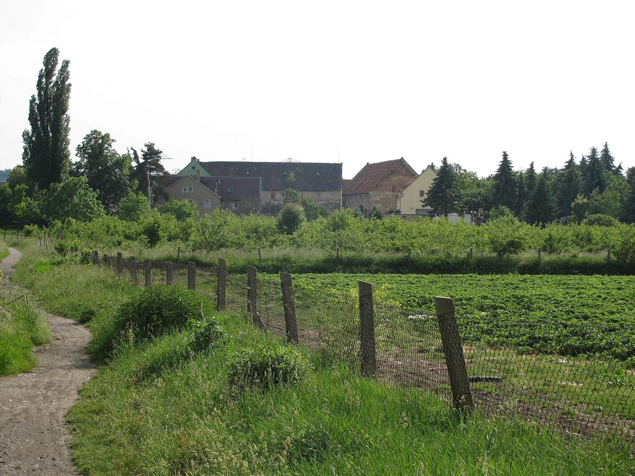 Photo showing: Blick von Meußlitz über die Wiesen des alten Elbarms nach Altsporbitz