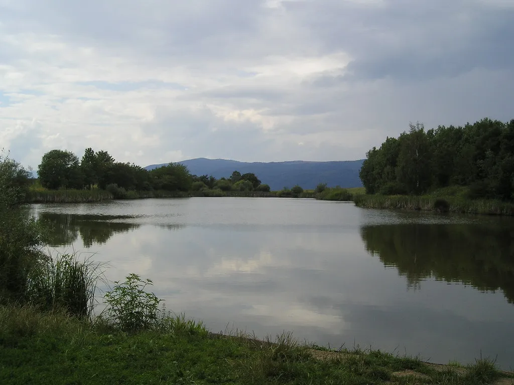 Photo showing: Střížovický rybník.