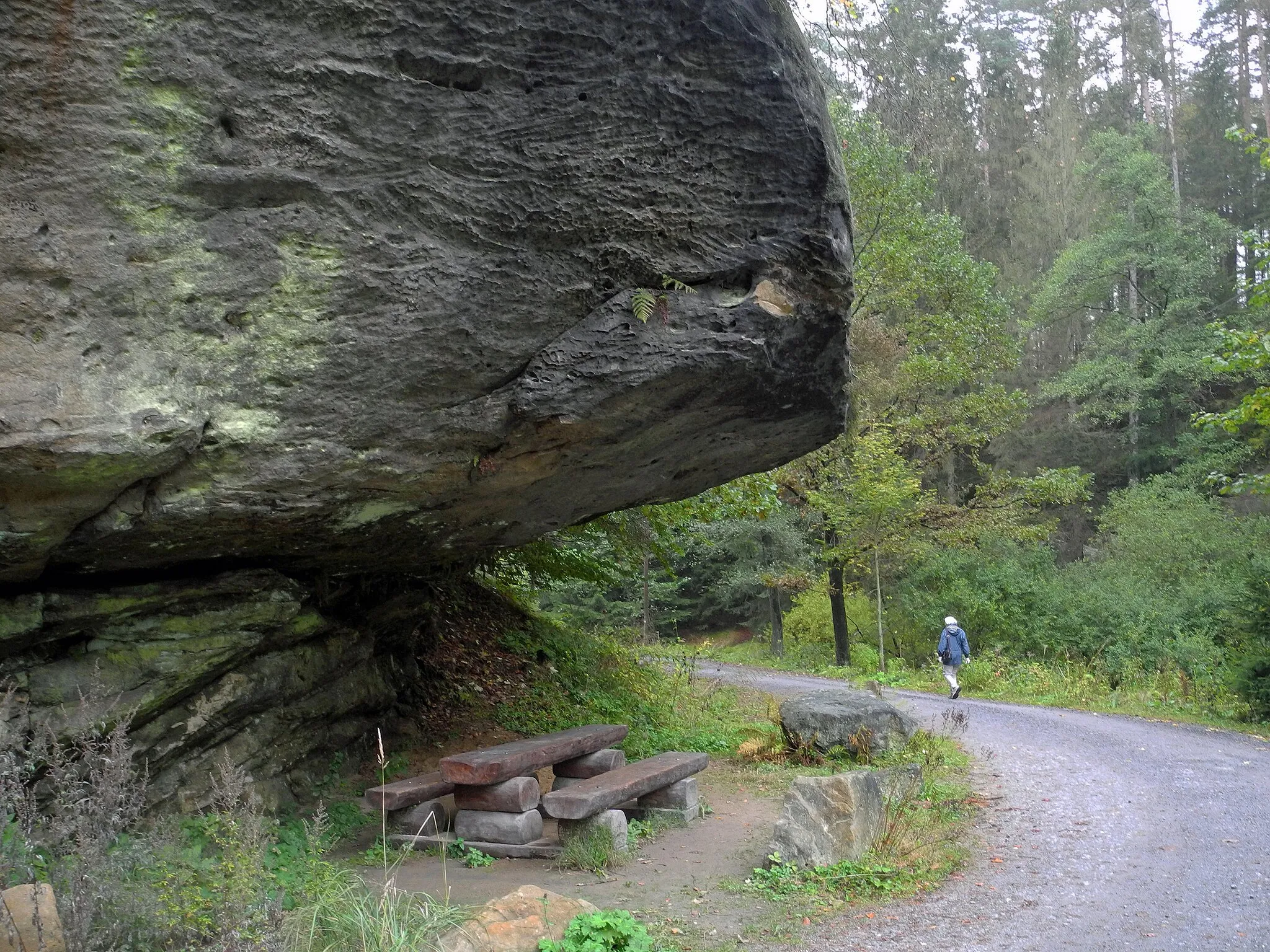 Photo showing: Felsen unterhalb des Mönchstein in Hinterhermsdorf, Kalkstraße