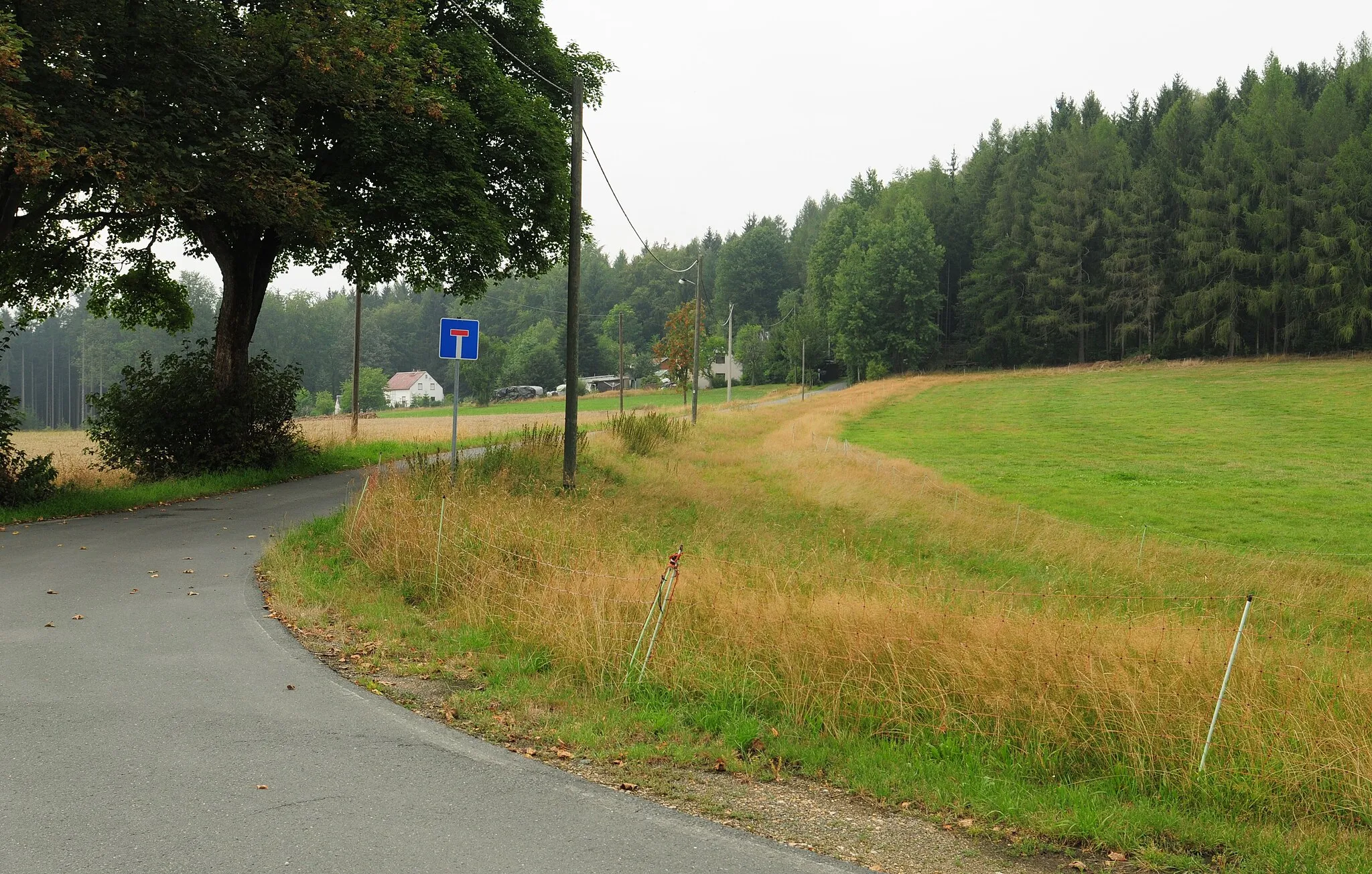 Photo showing: municipality Bad Brambach: rural district Rohrbach, old country lane to Raun (district Vogtlandkreis, Free State of Saxony, Germany)