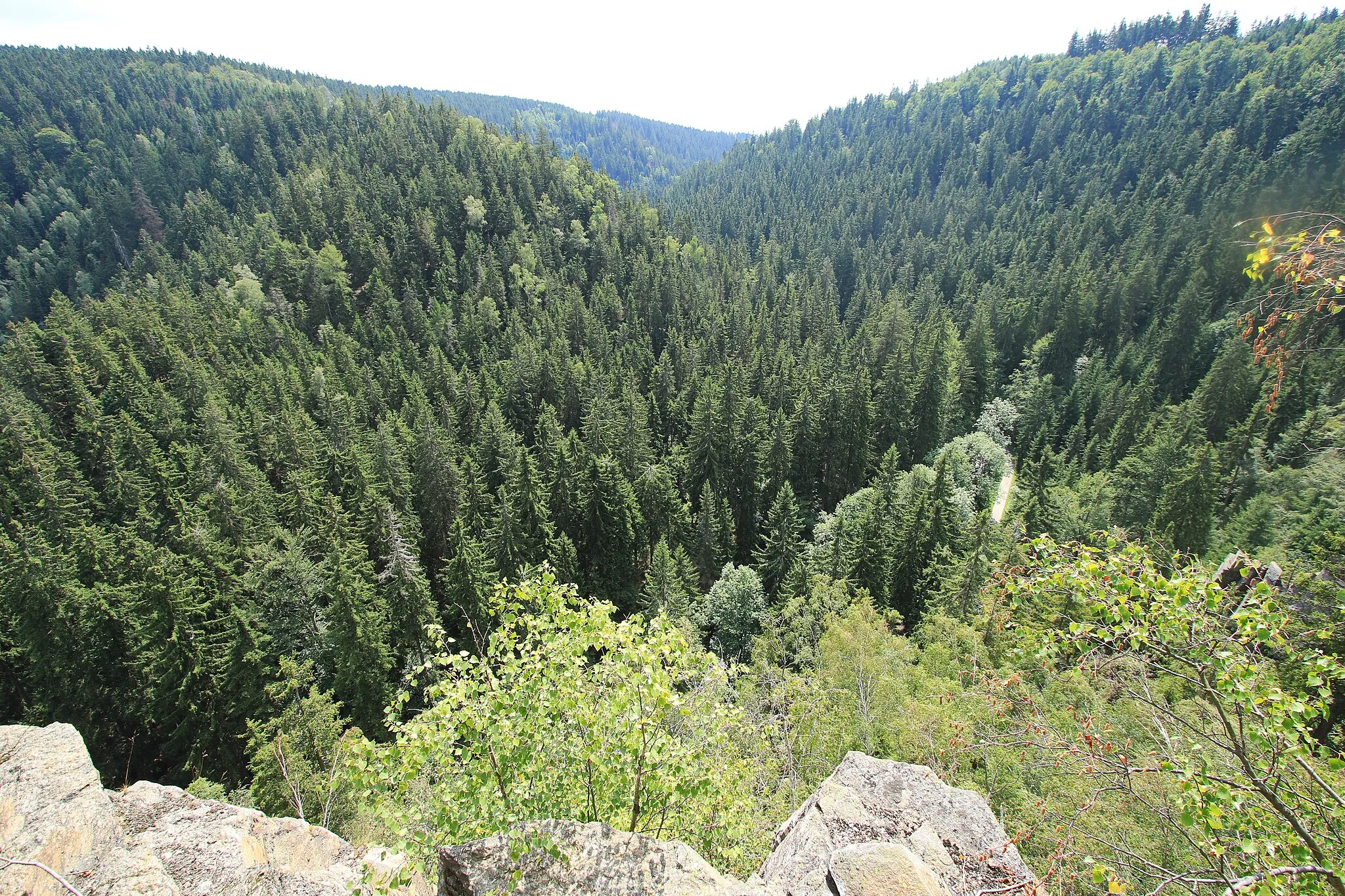 Photo showing: Naturpark Erzgebirge/Vogtland. Blick vom Katzenstein.