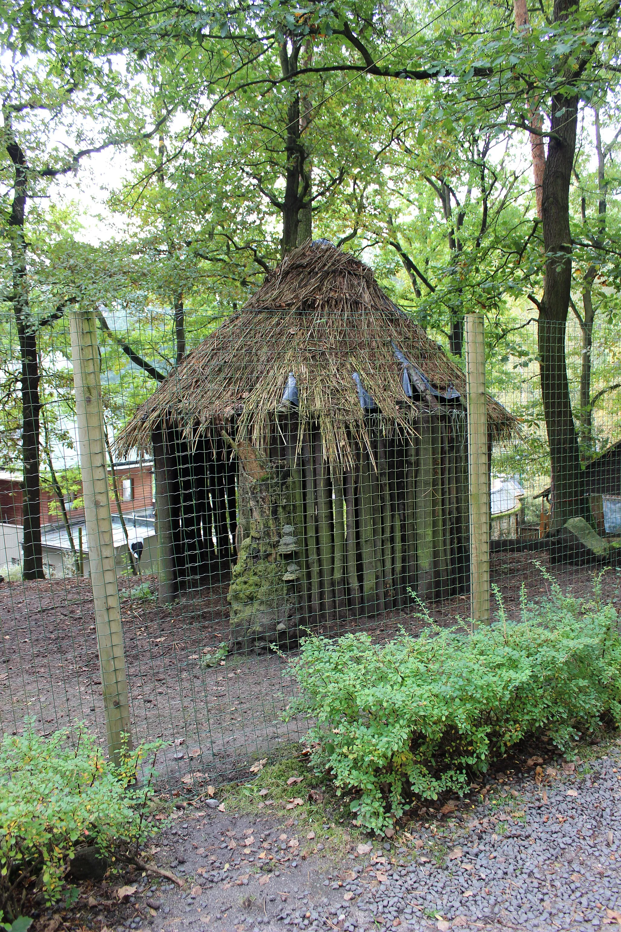 Photo showing: The construction in enclosure of Grus japonensis in Zoo in Děčín, Ústí nad Labem Region, Czech Republic.