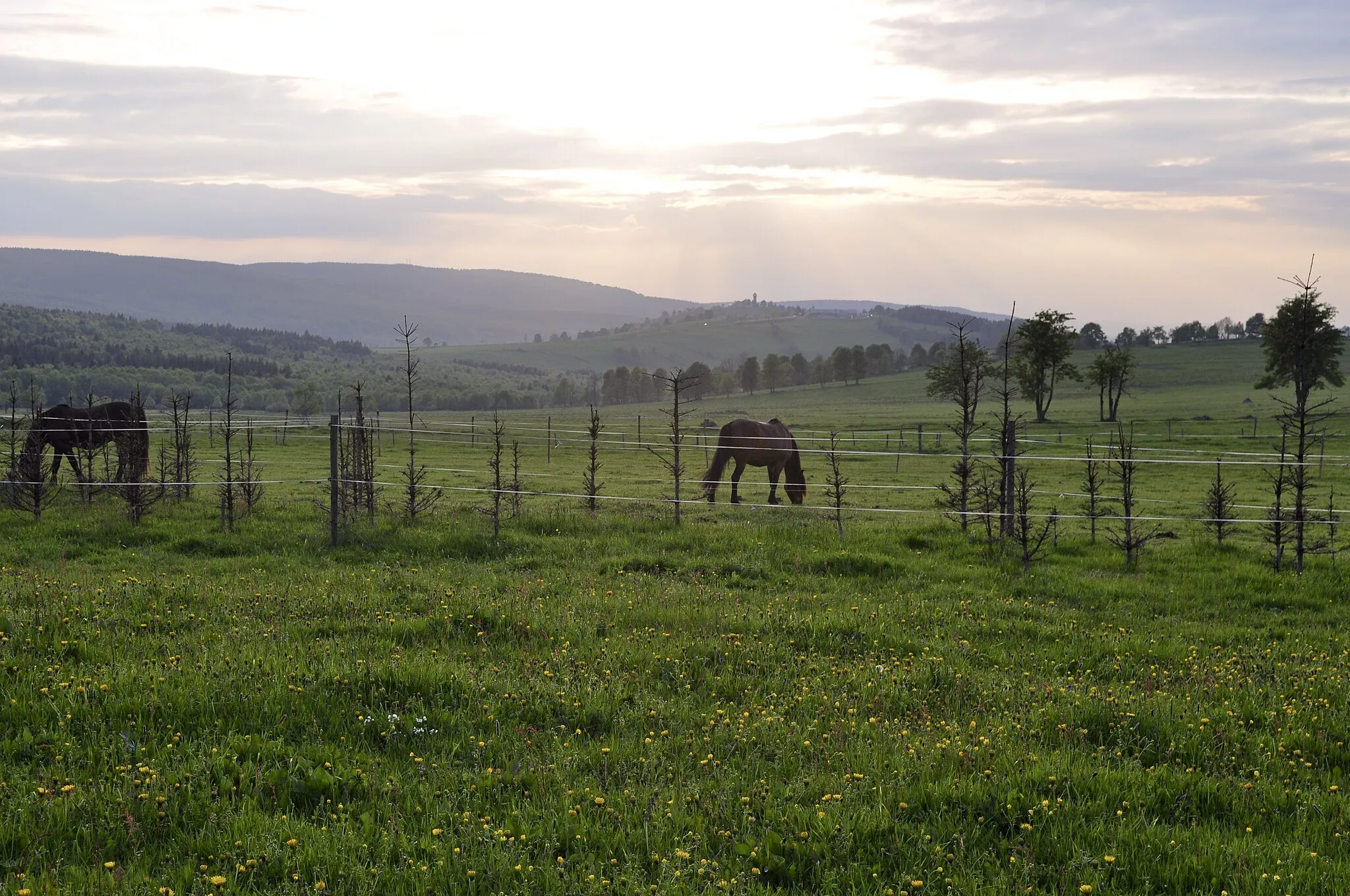 Photo showing: Hora Svaté Kateřiny, view from Nová Ves