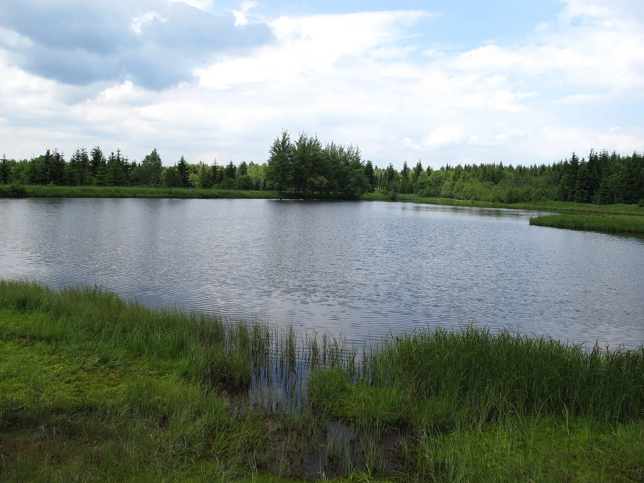 Photo showing: Rudolice v Horách - Rudolický rybník