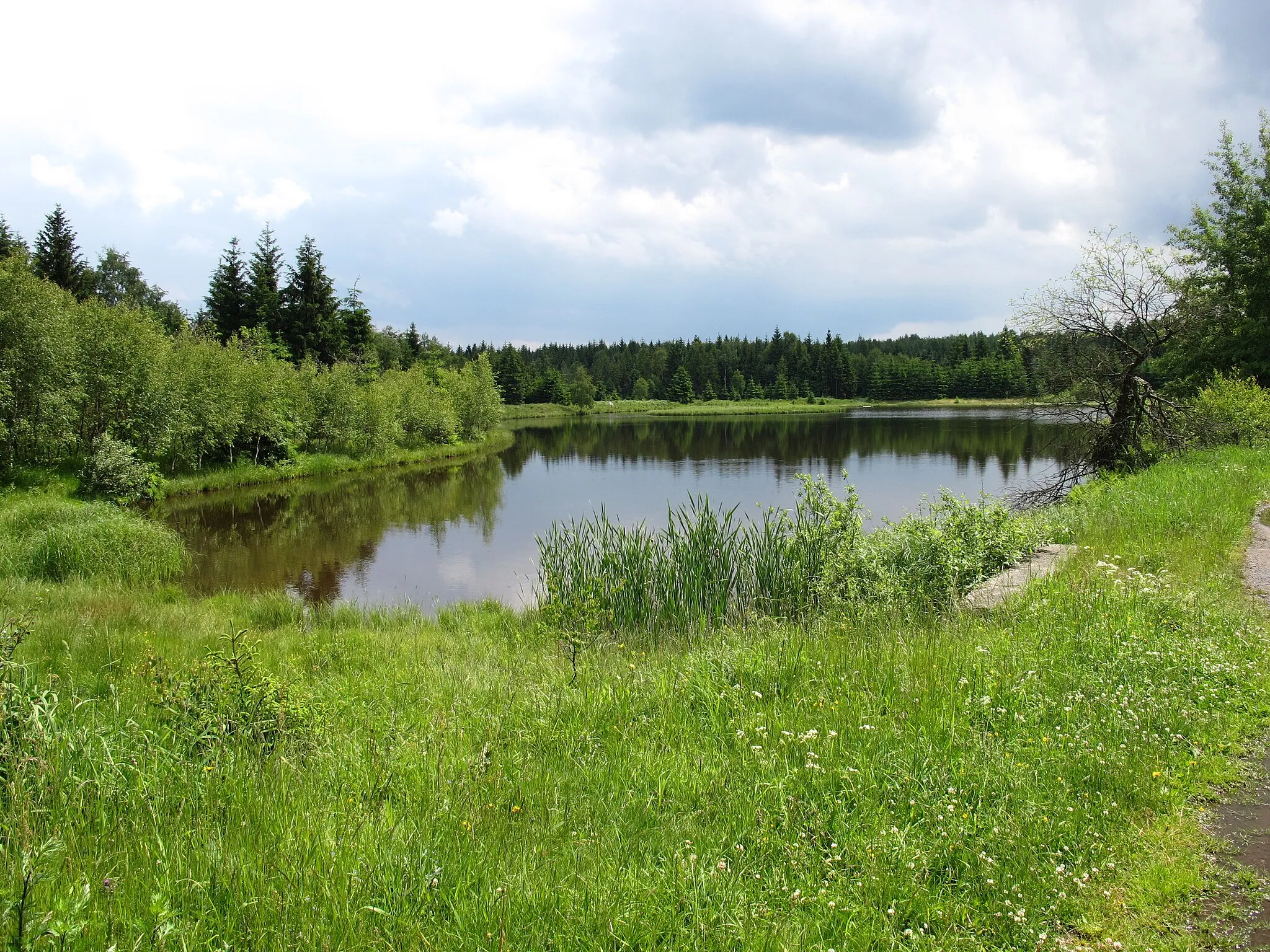 Photo showing: Rudolice v Horách - Rudolický rybník