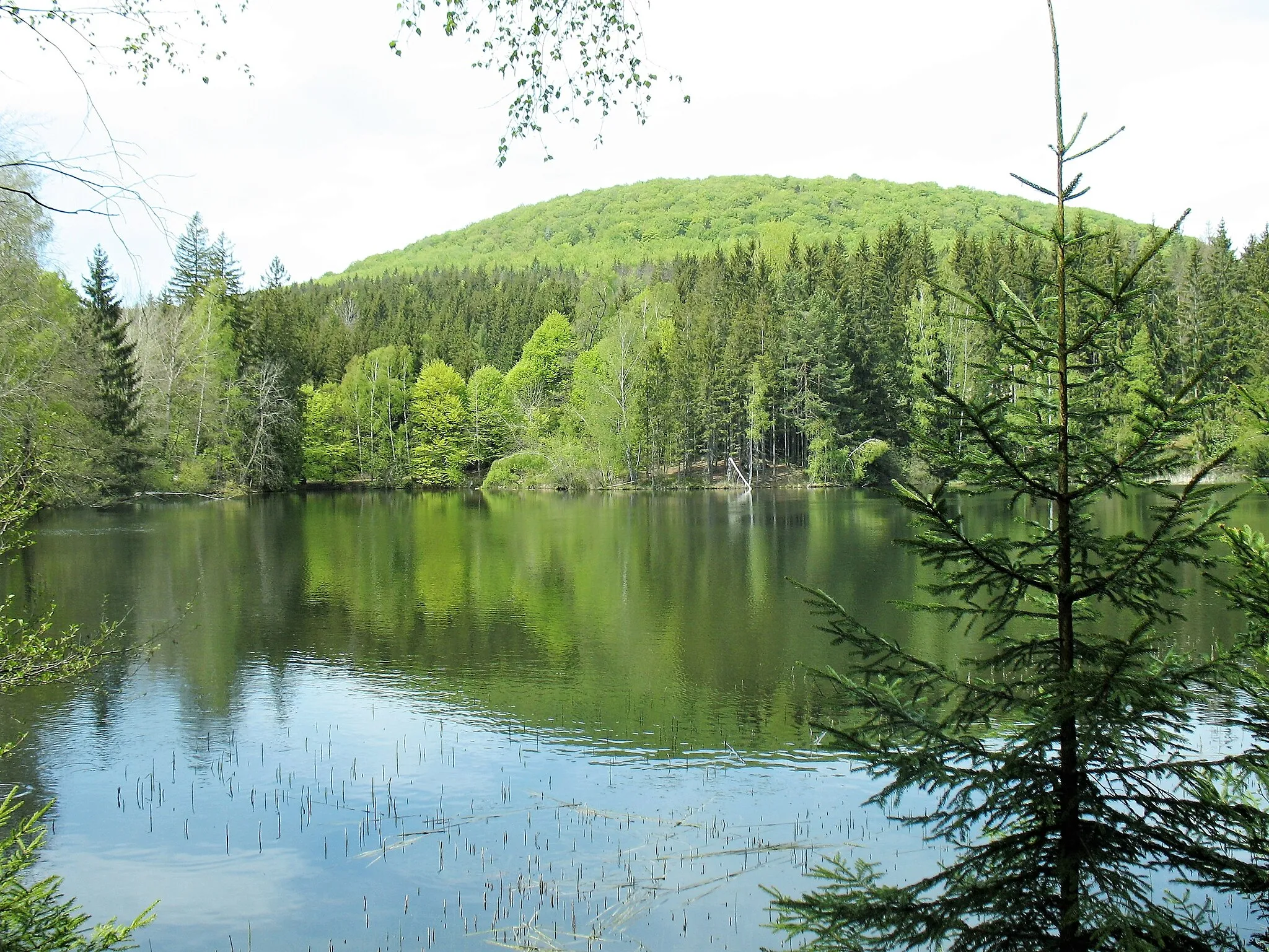 Photo showing: Hraniční rybník, pond in Lusatian Mountains