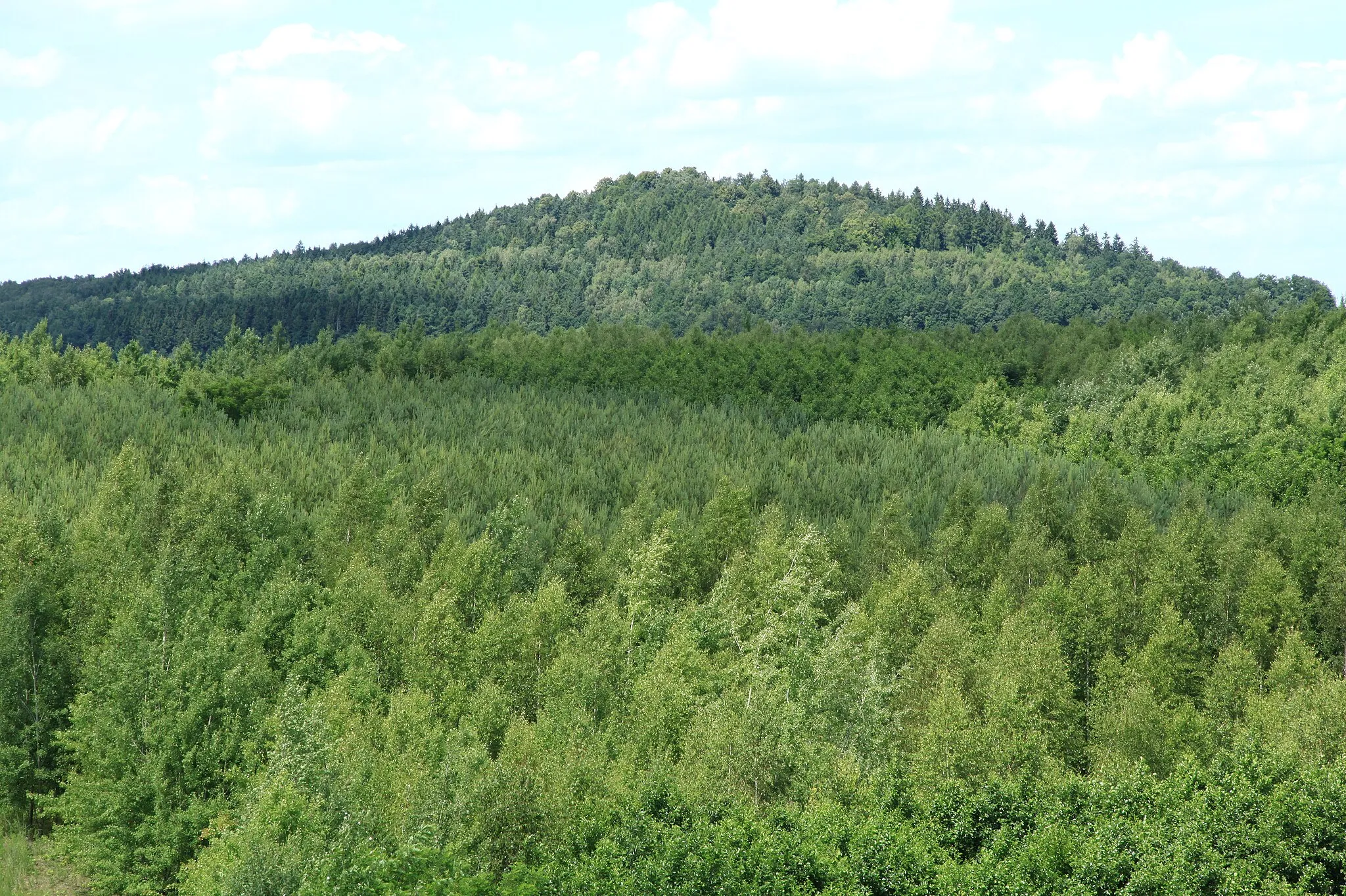 Photo showing: Blick vom Aussichtsturm Neuberzdorfer Höhe in Schönau-Berzdorf auf den Schwarzen Berg