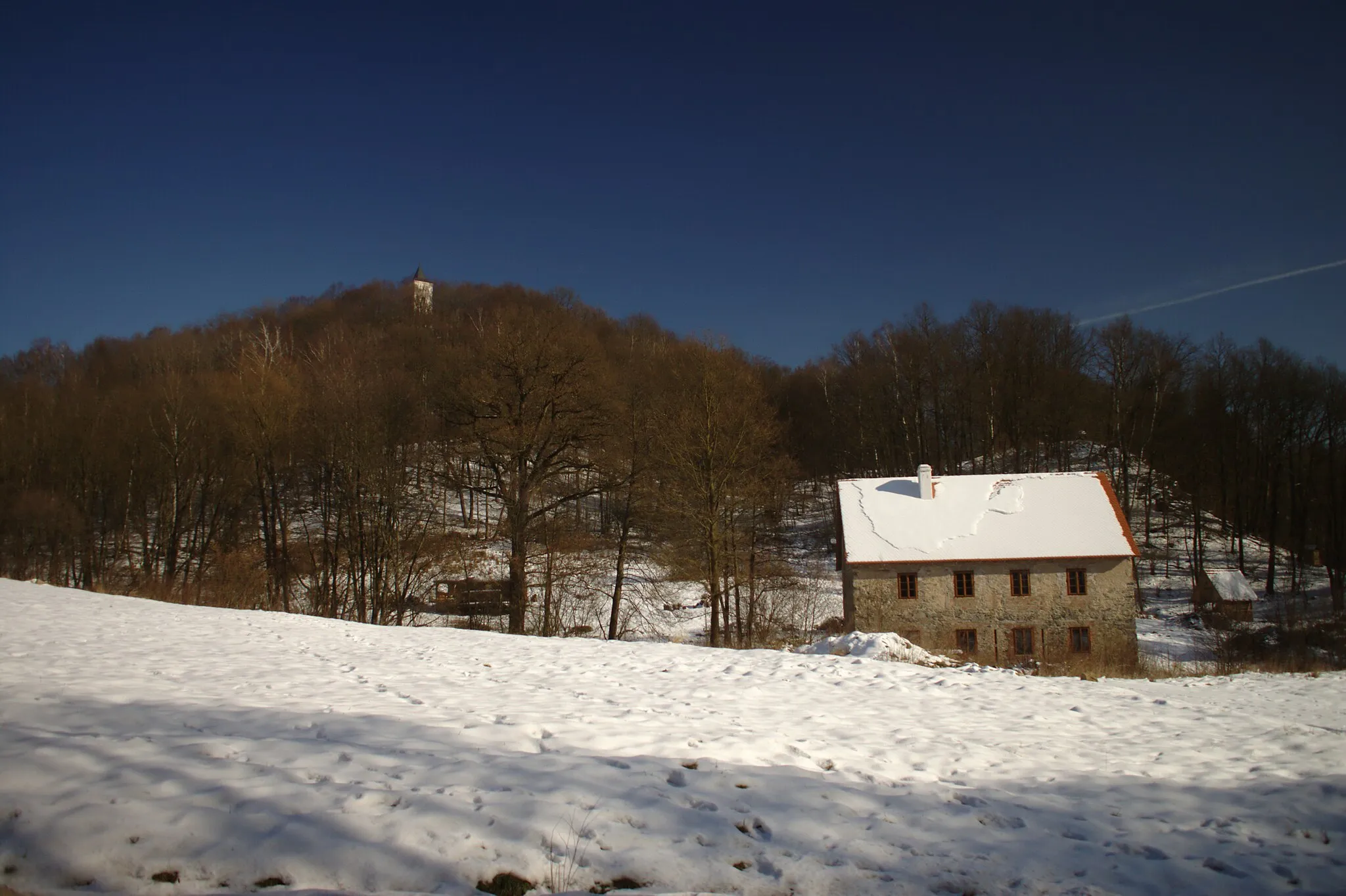 Photo showing: Levín Castle near Horní Vysoké, Ústí Region, CZ