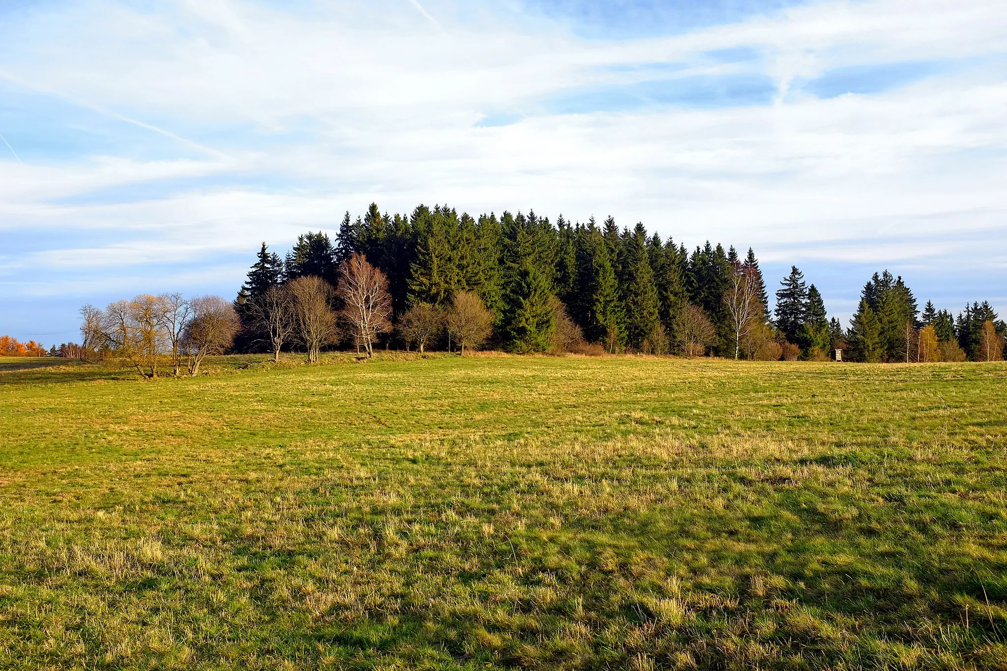 Photo showing: Krásenský vrch (777 m) nad Krásnem, pohled od západu, Slavkovský les, okres Sokolov