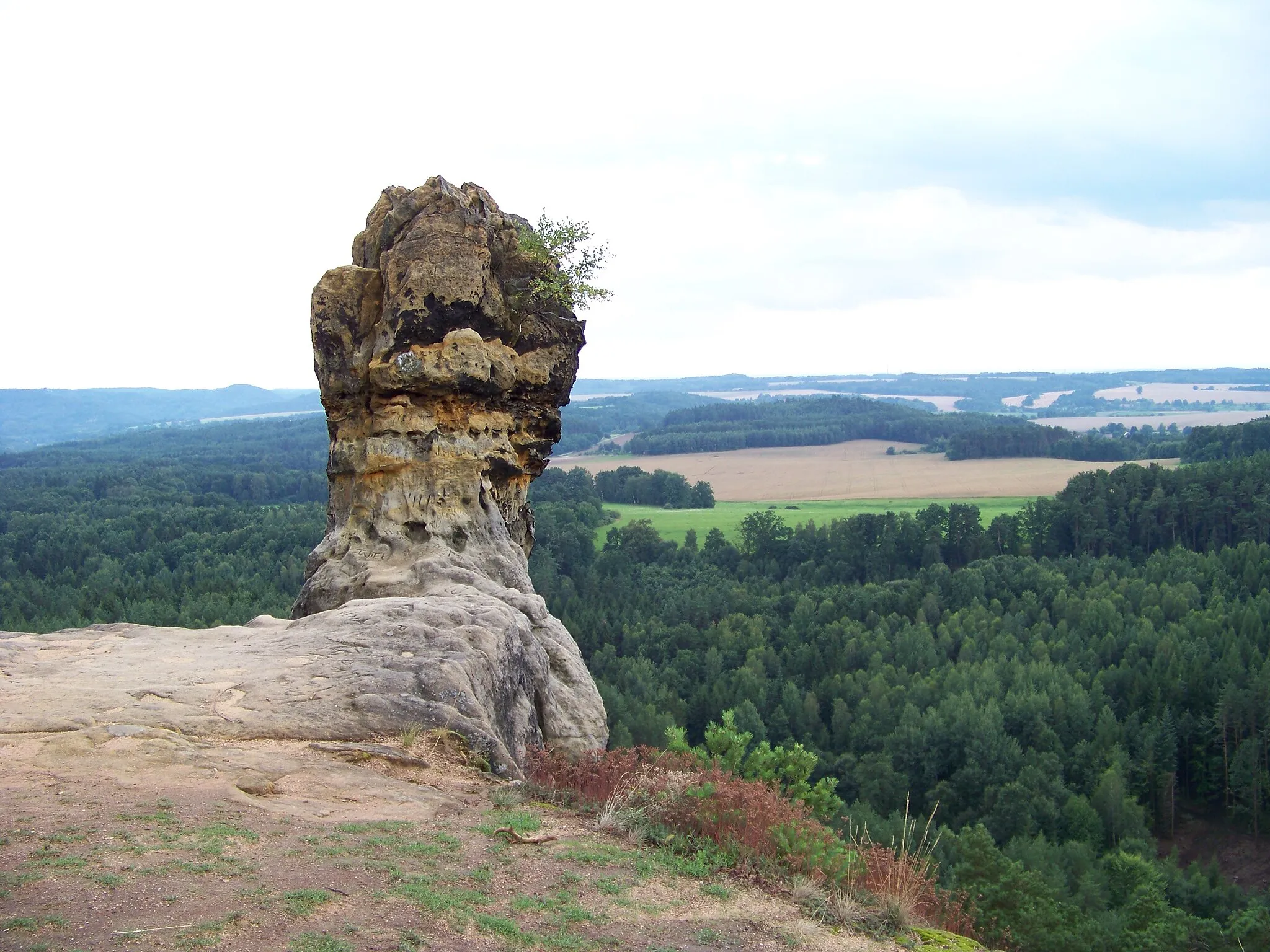 Photo showing: Čap, Čapská palice. Protected Landscape Area of Kokořínsko. (Cadastral area of Zátyní, city of Dubá, Česká Lípa District, Liberec Region, the Czech Republic.)