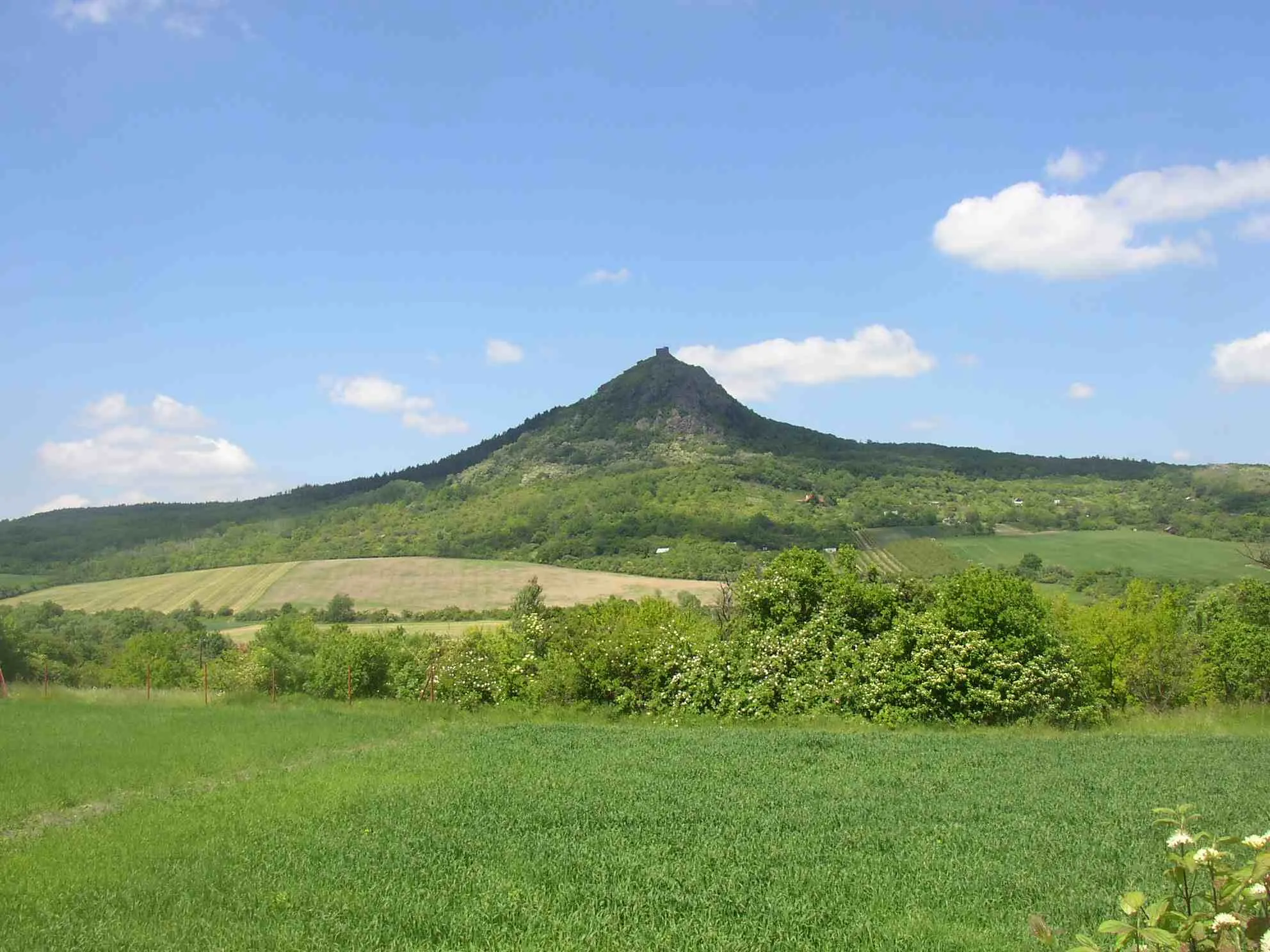 Photo showing: Košťál (also Košťálov) hill with ruin of Košťálov Castle in České středohoří Mts., Czech Republic. A view from SSW, from Třebenice.